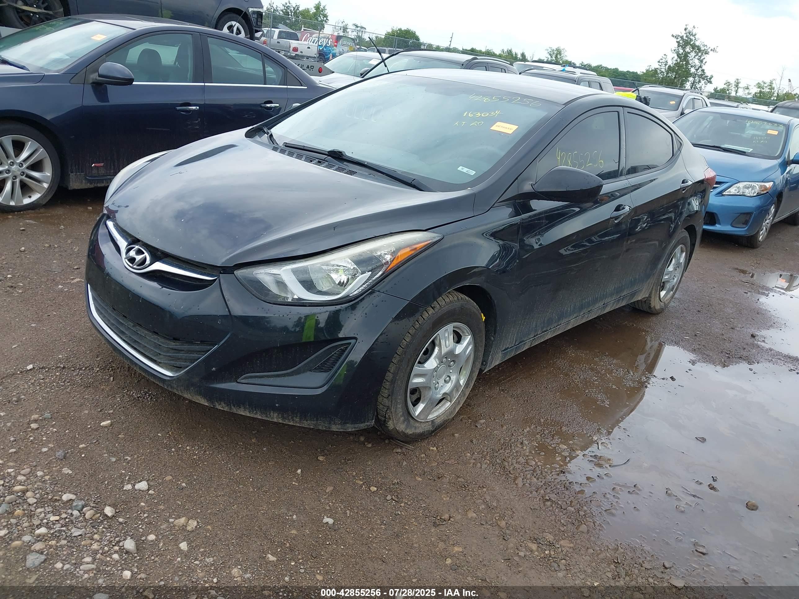 HYUNDAI ELANTRA image 2