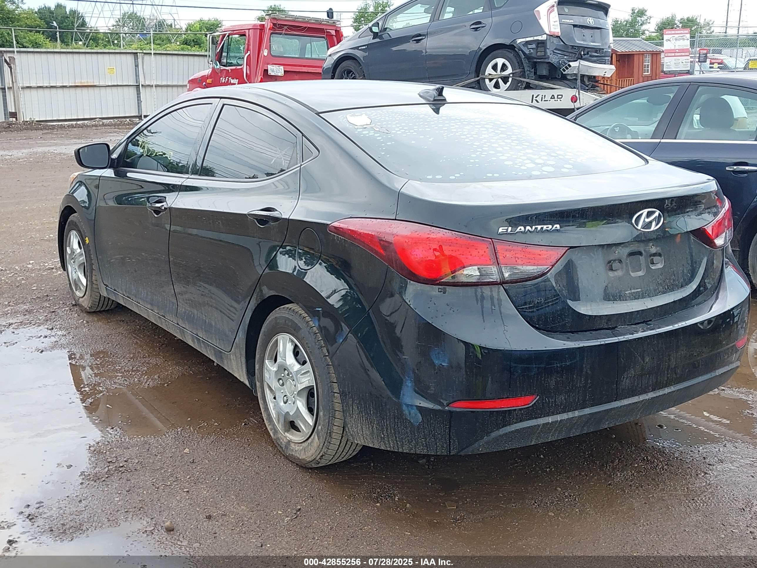 HYUNDAI ELANTRA image 3