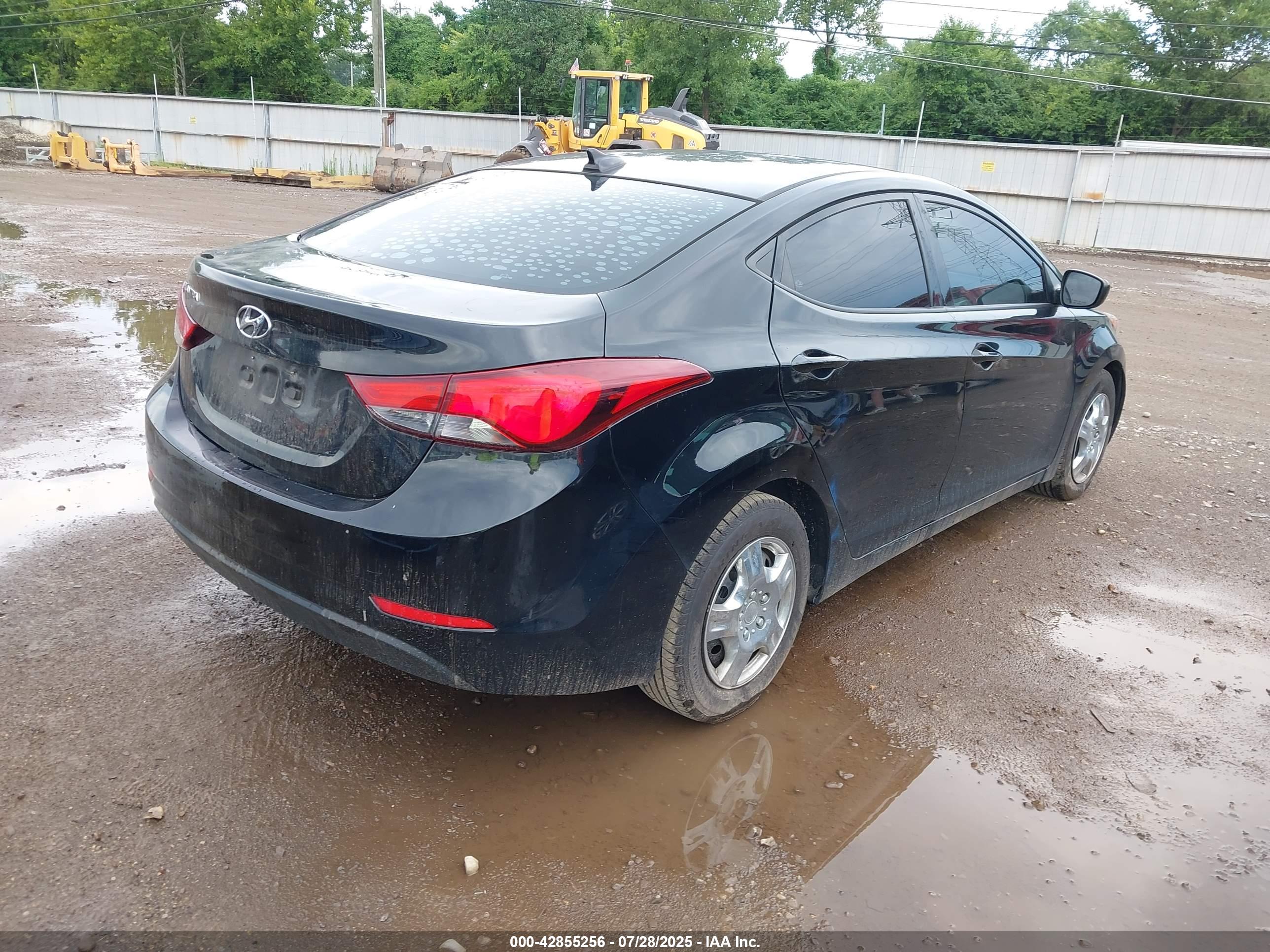 HYUNDAI ELANTRA image 4