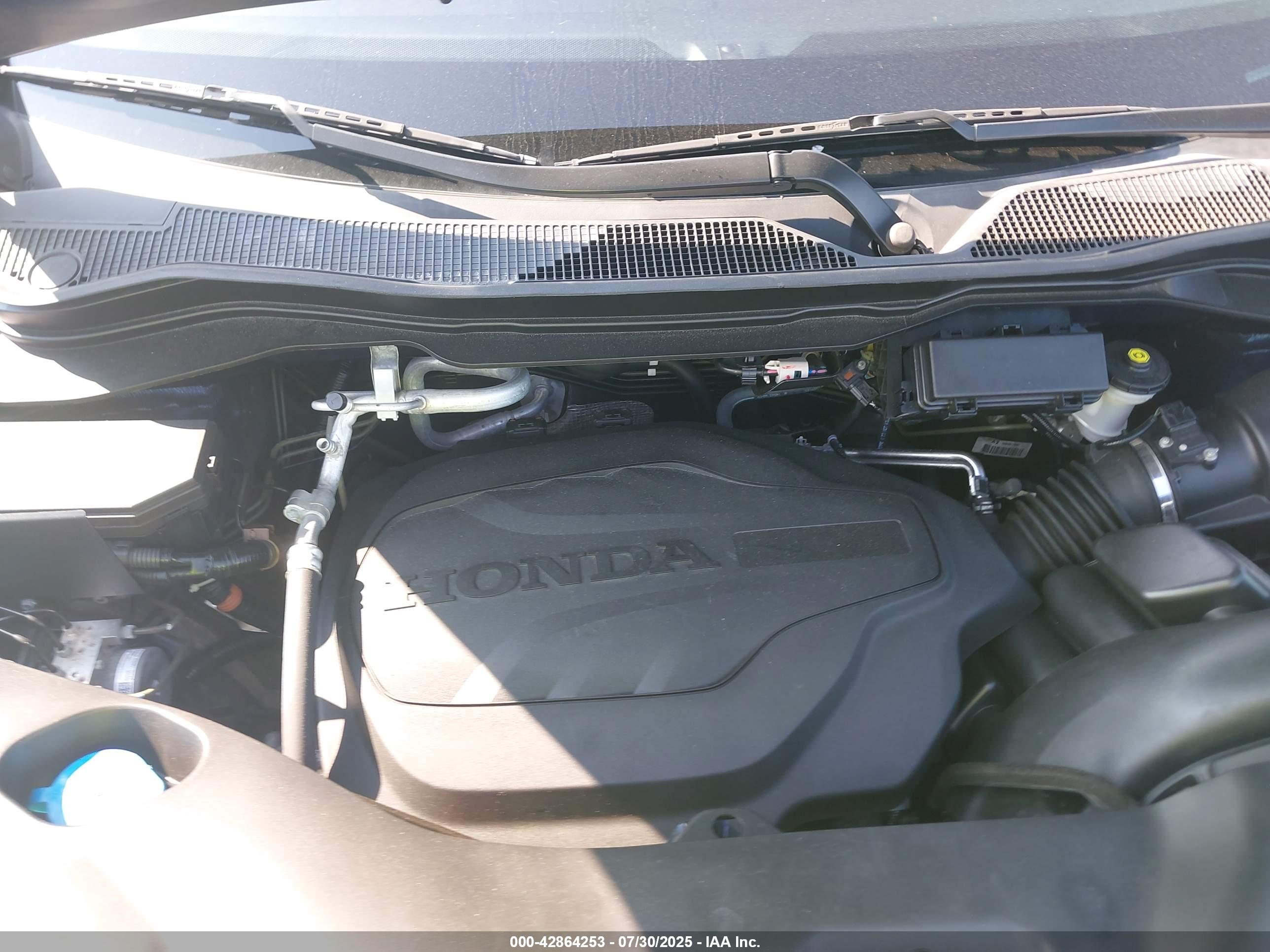 HONDA PASSPORT image 10