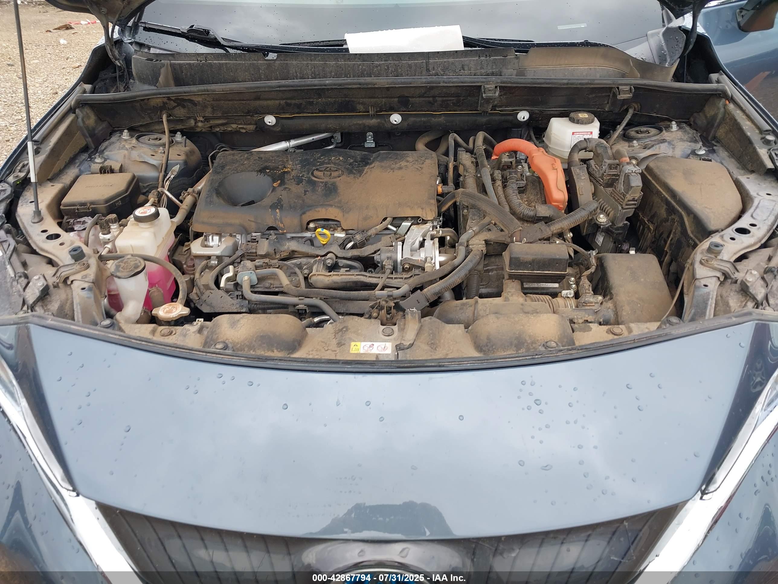 TOYOTA VENZA image 10