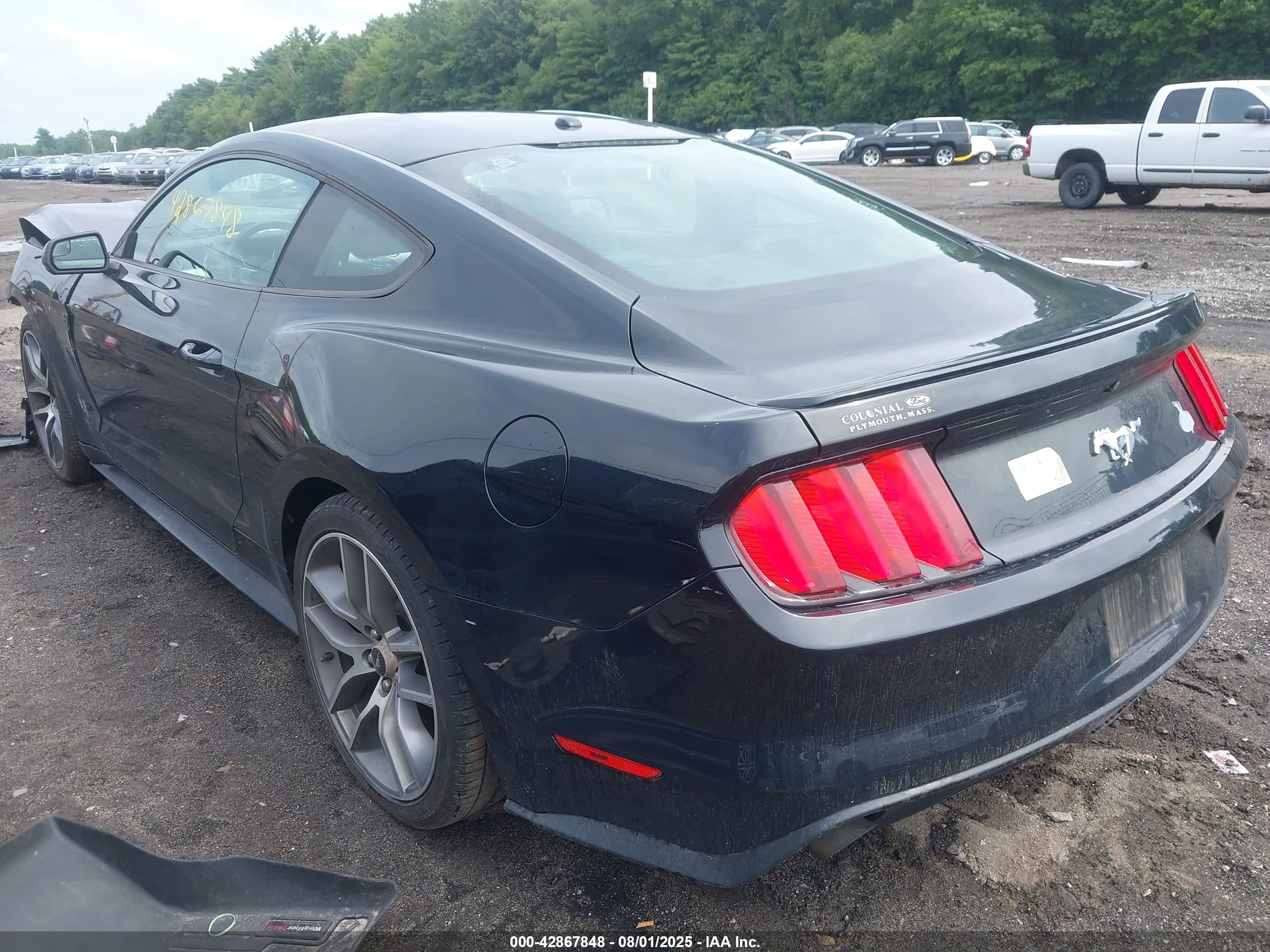 FORD MUSTANG image 3