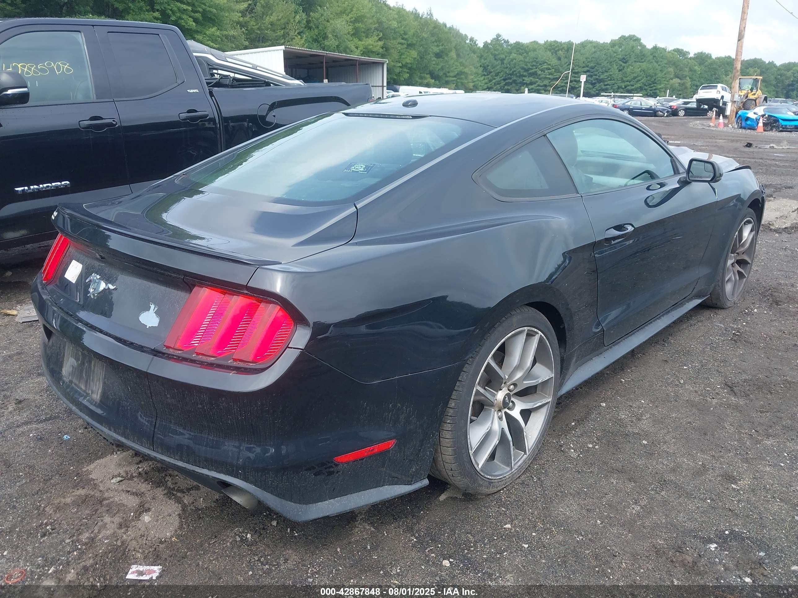 FORD MUSTANG image 4