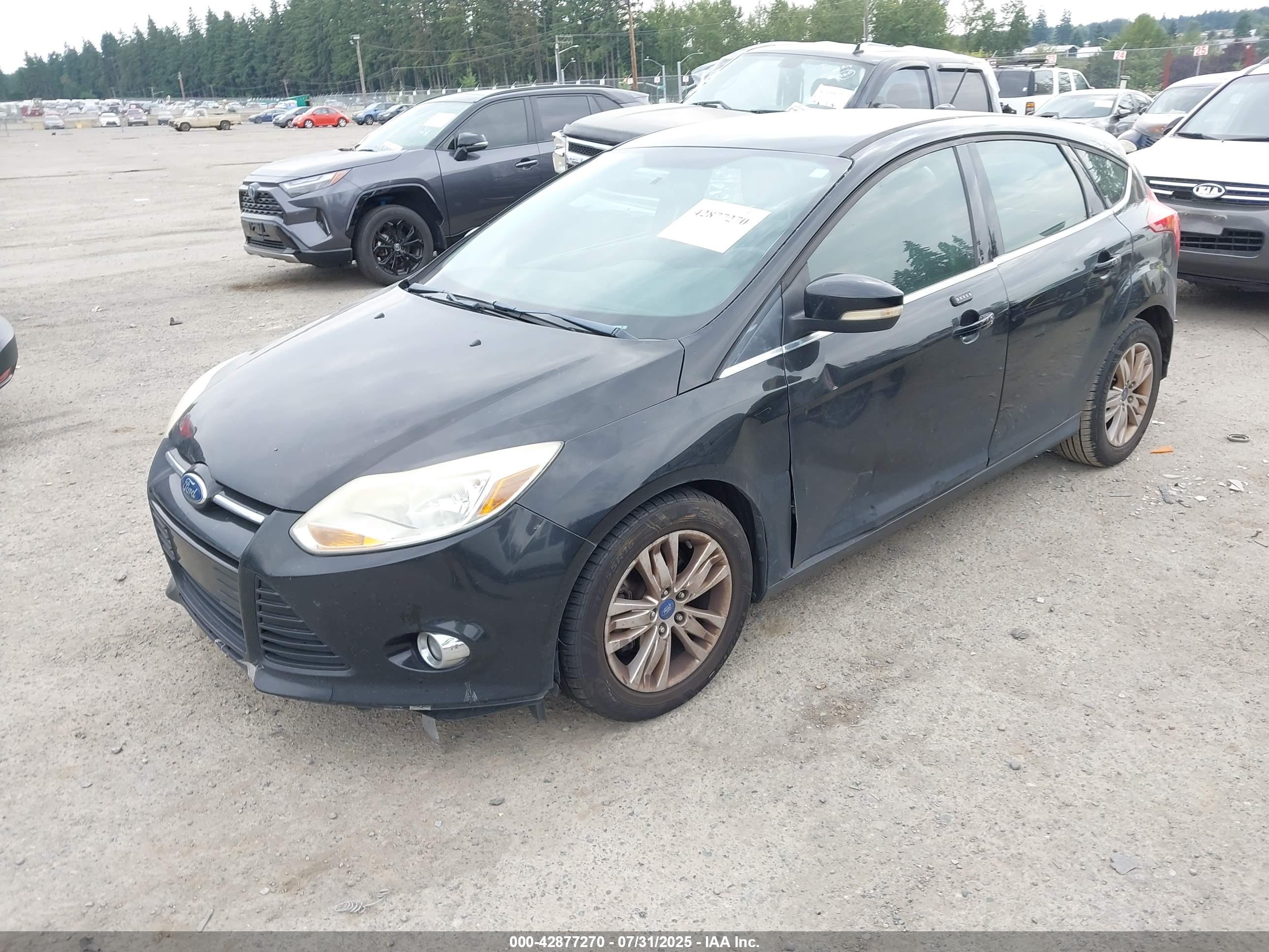 FORD FOCUS image 2