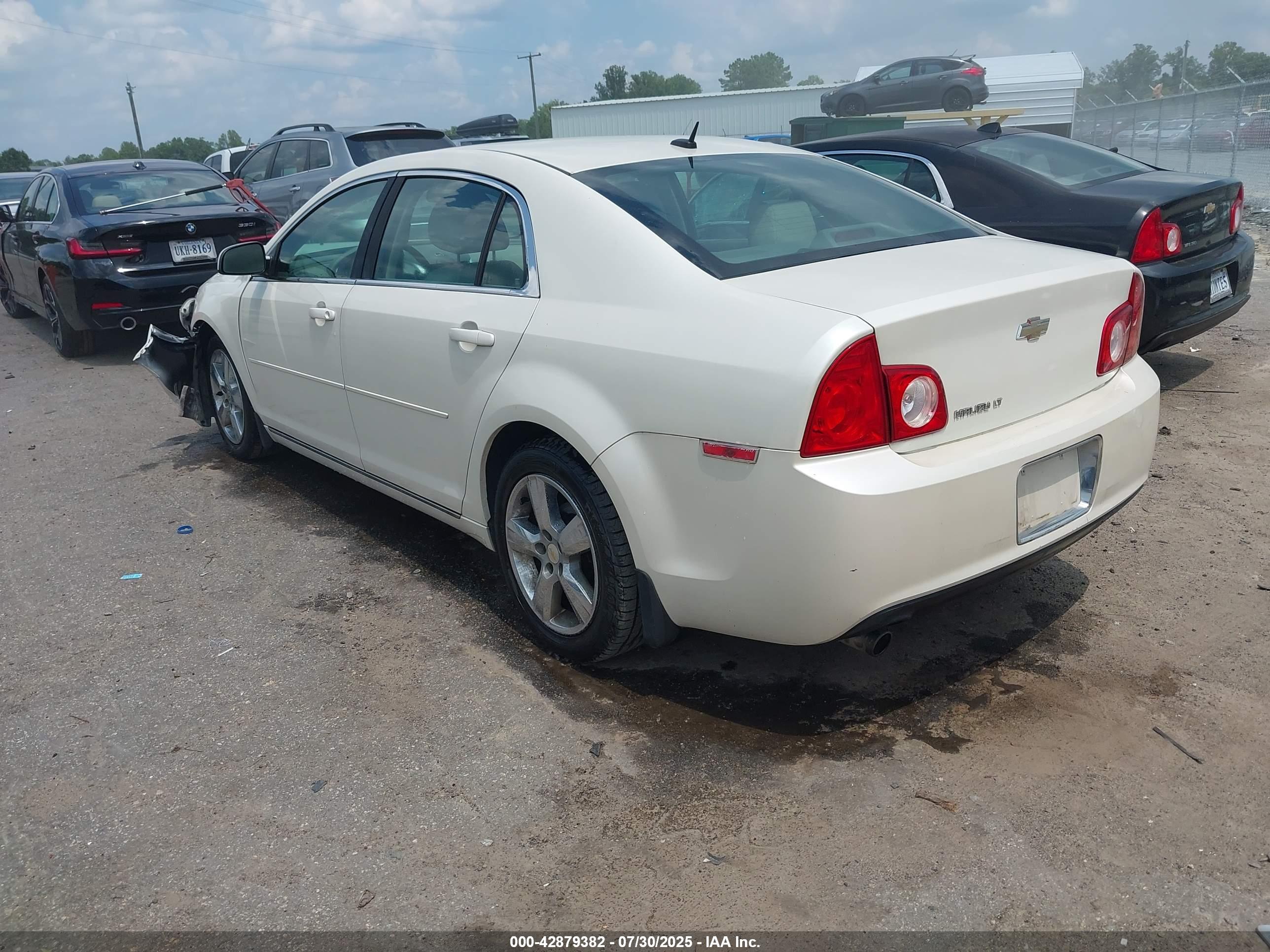CHEVROLET MALIBU image 3