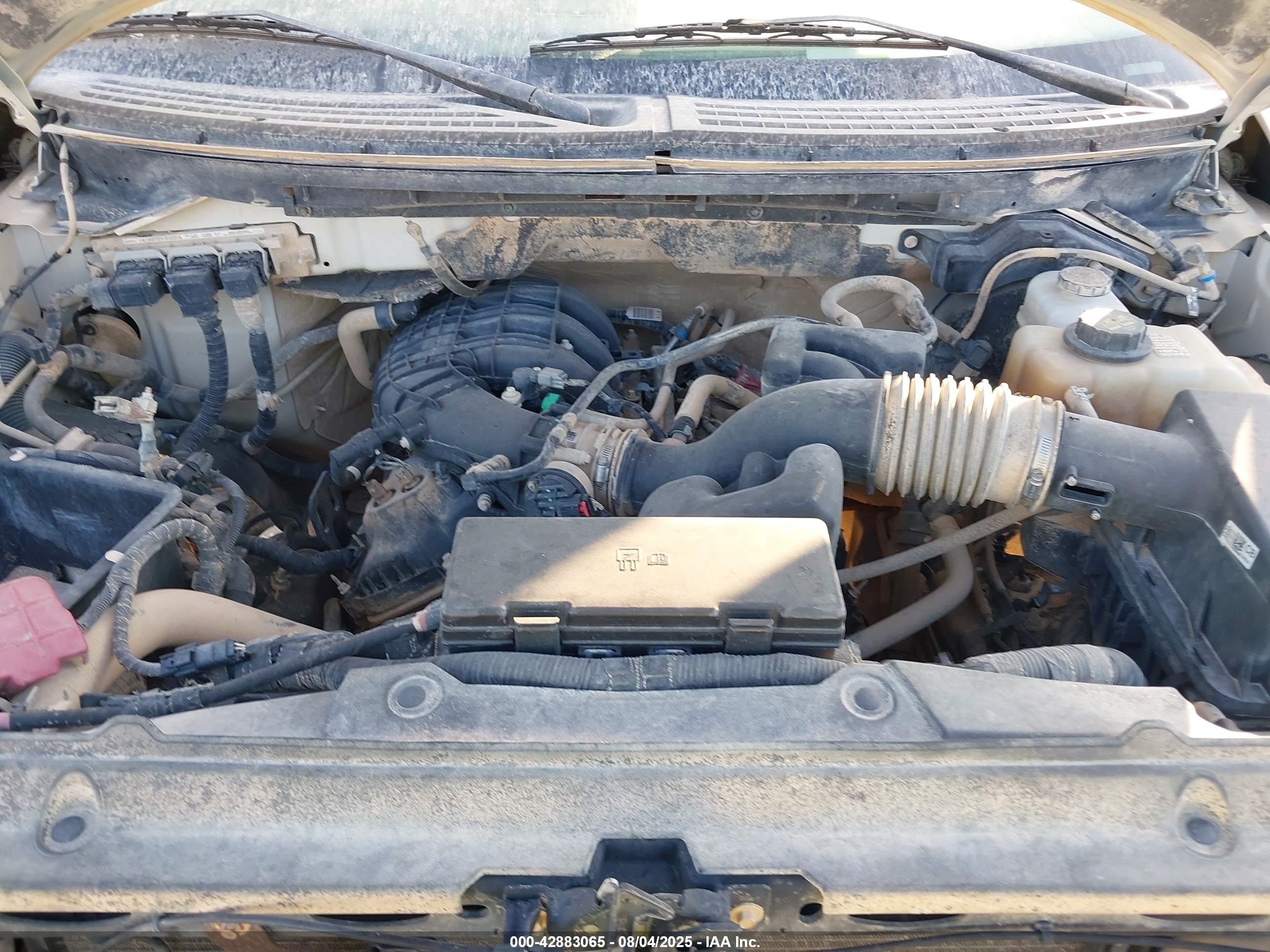 FORD F-150 image 10