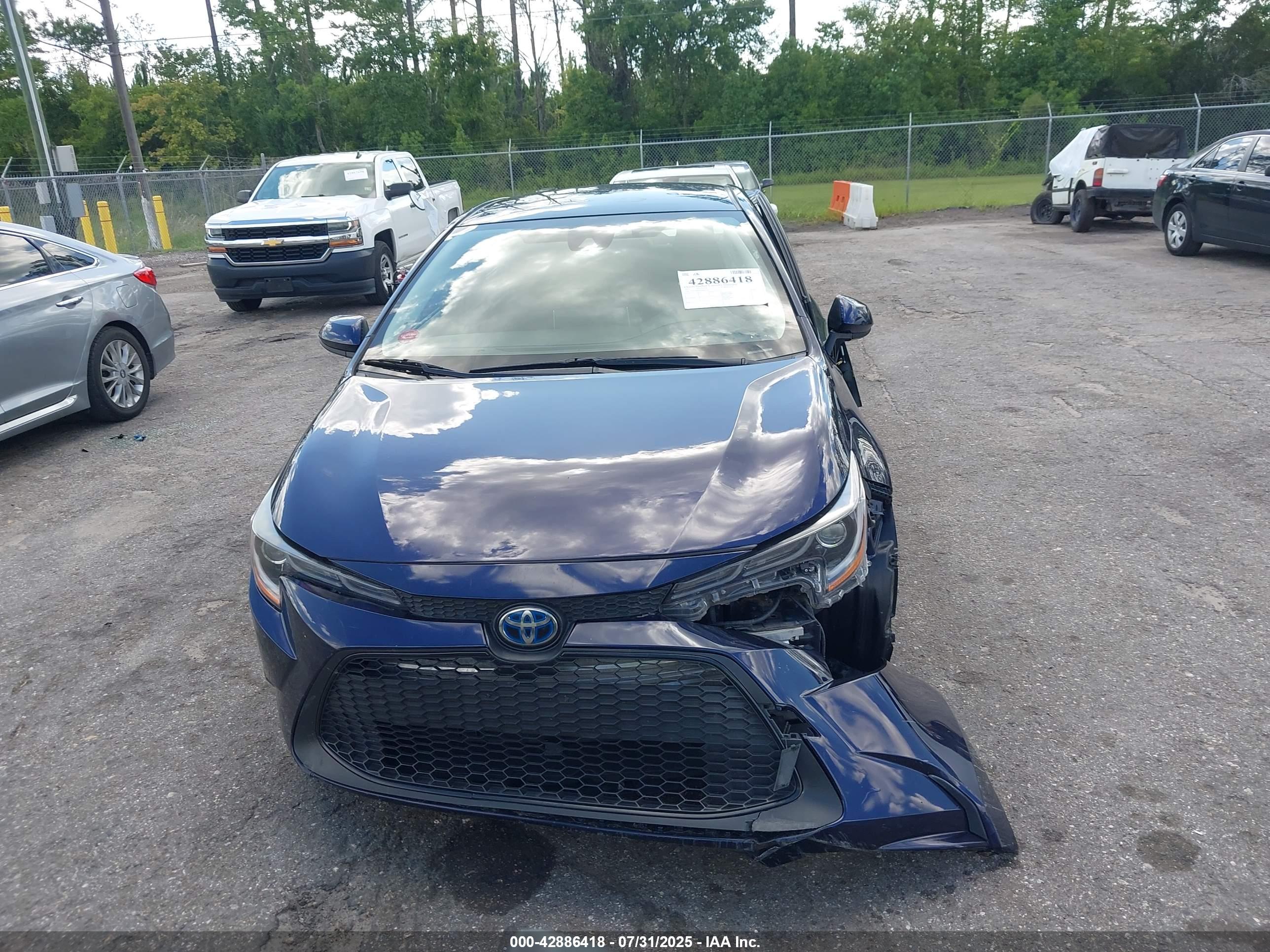 TOYOTA COROLLA image 6