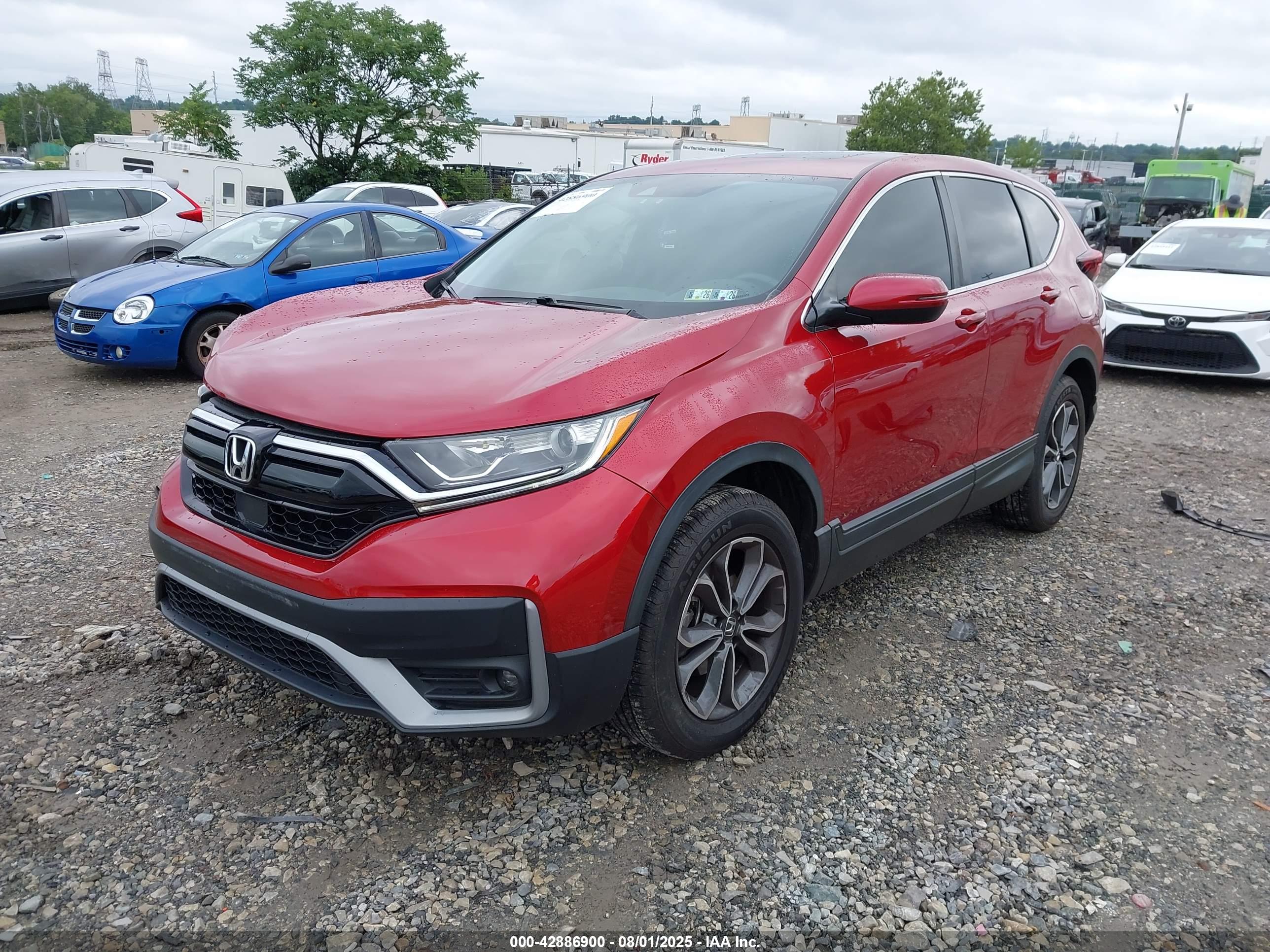 HONDA CR-V image 2