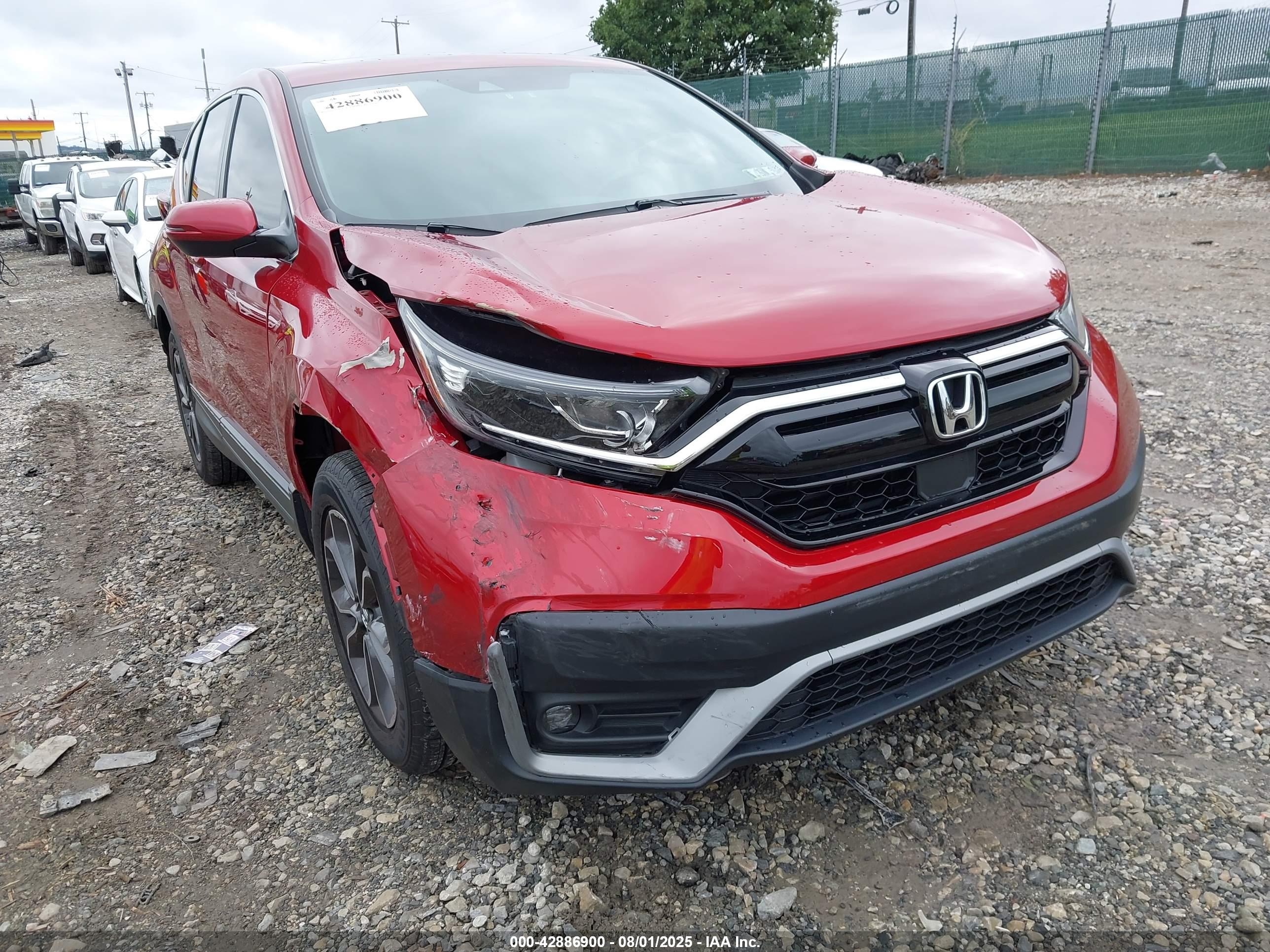 HONDA CR-V image 6