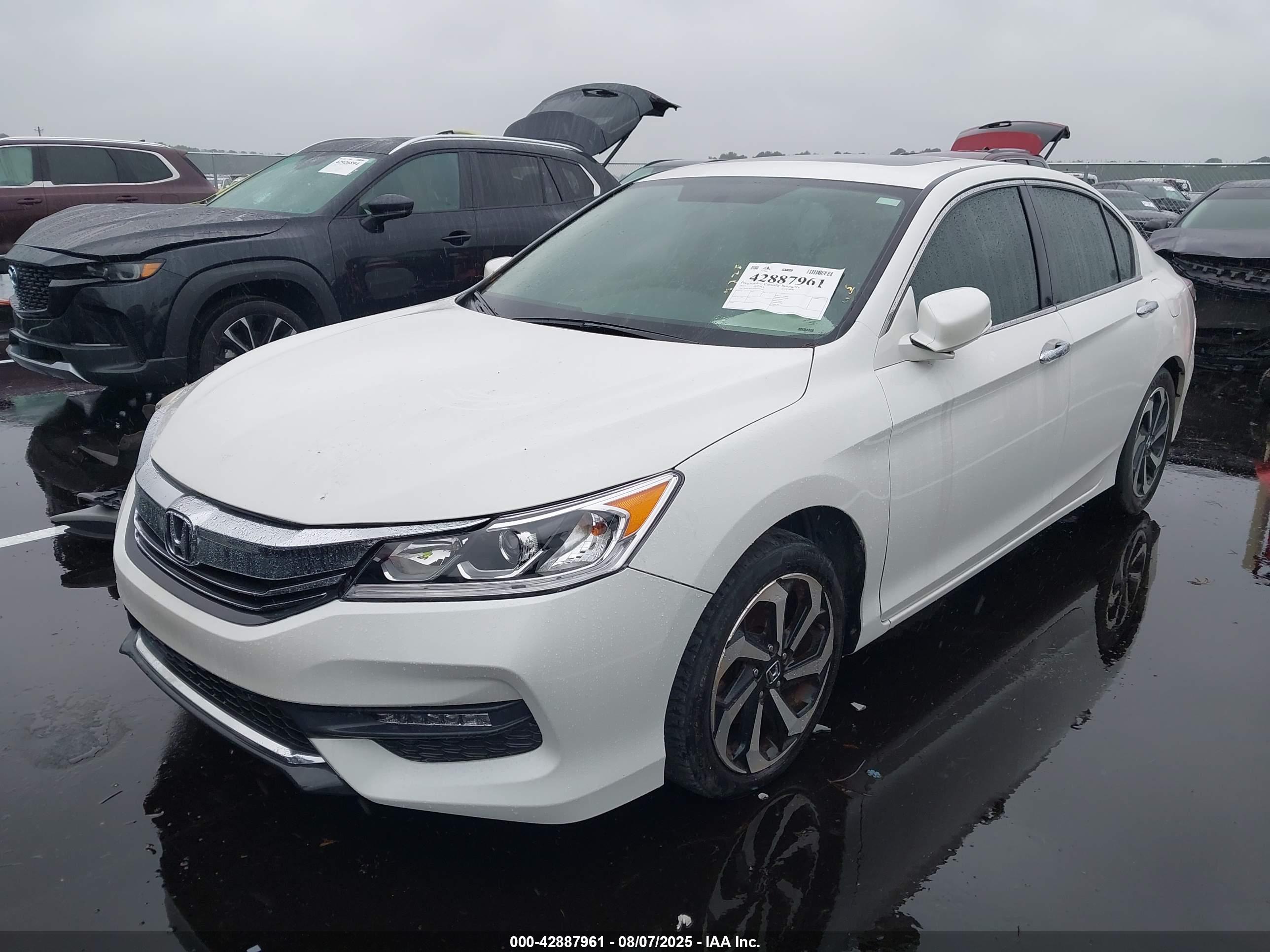 HONDA ACCORD image 2