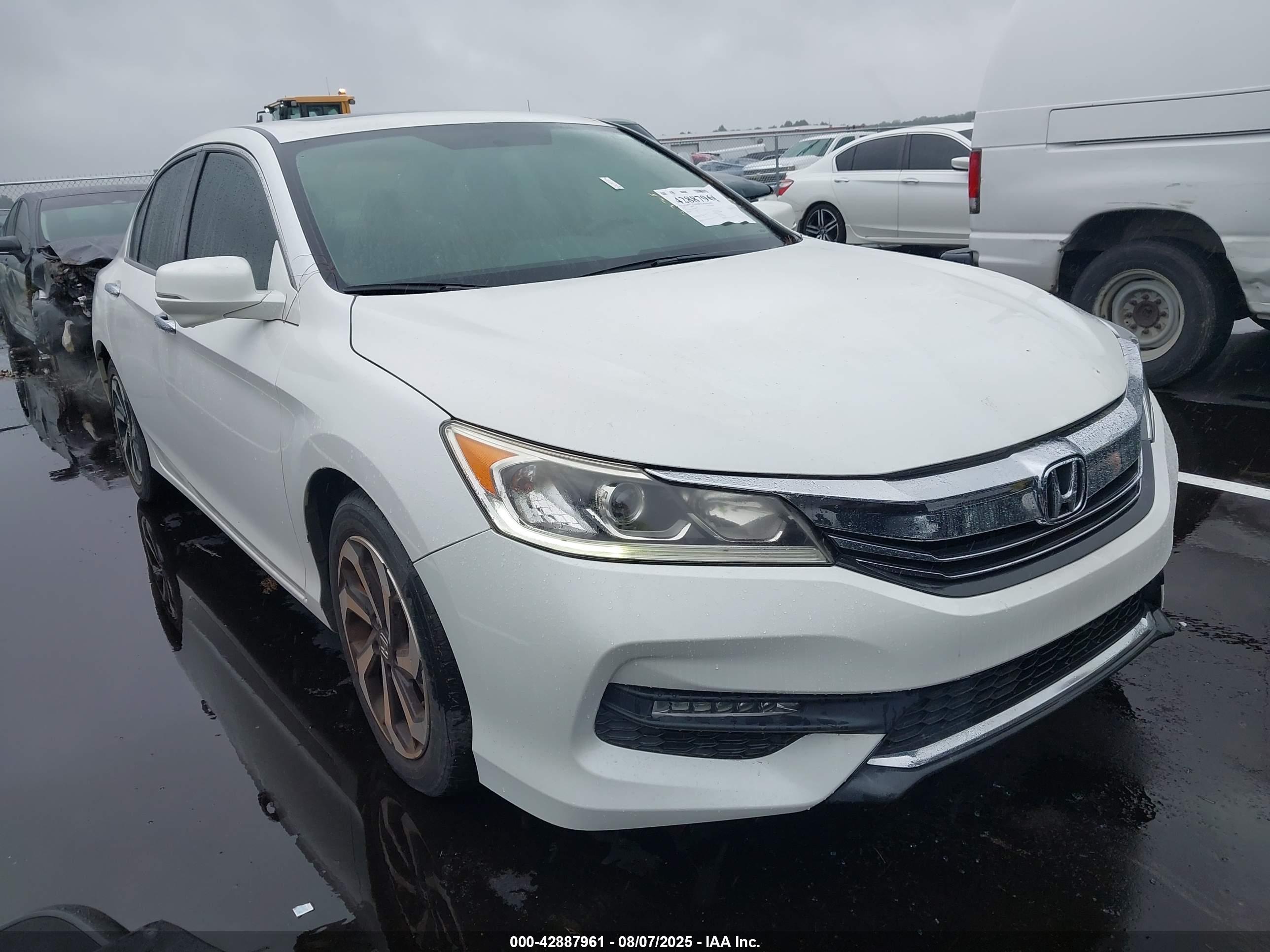 HONDA ACCORD image 6