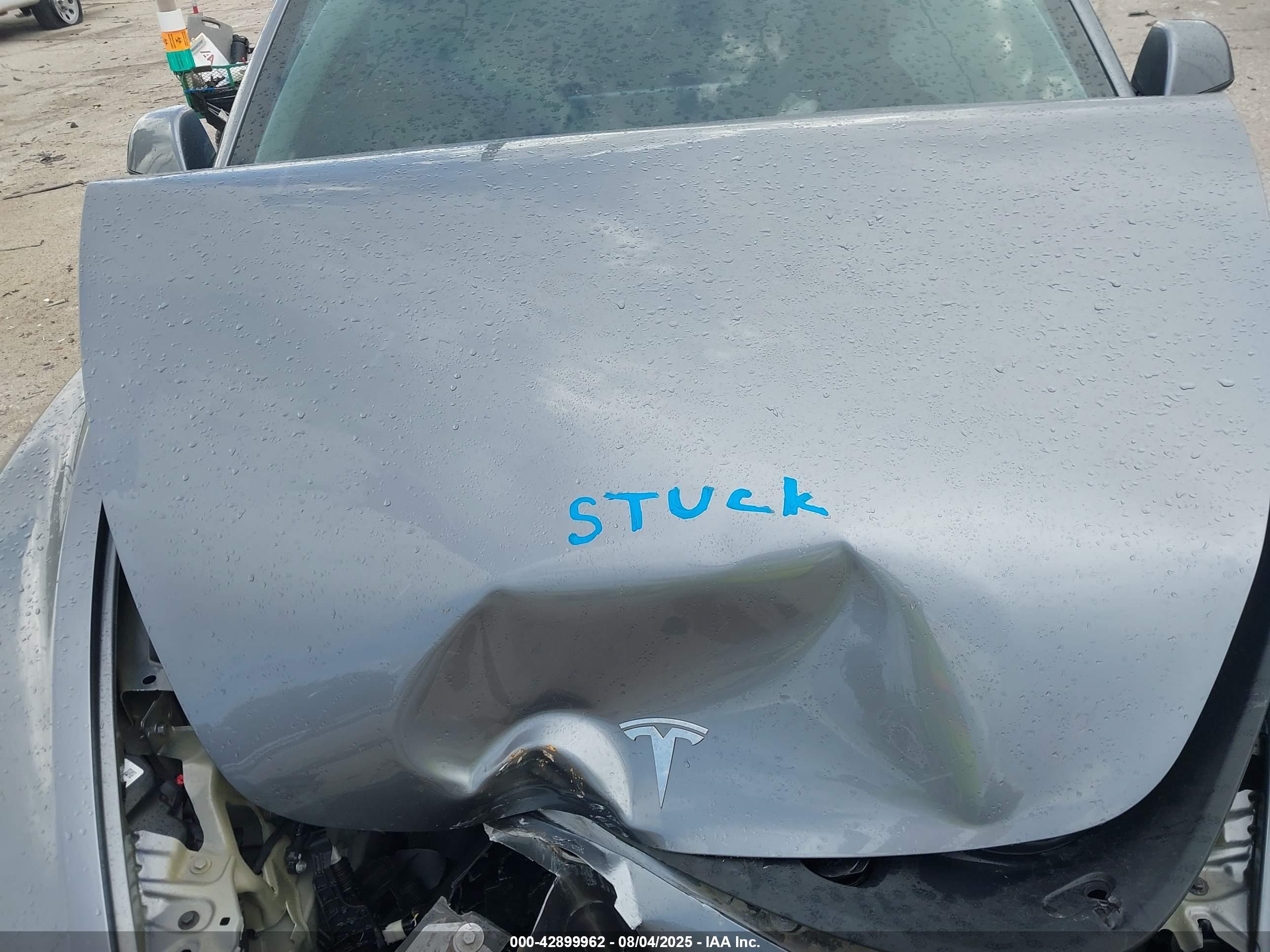 TESLA MODEL image 10