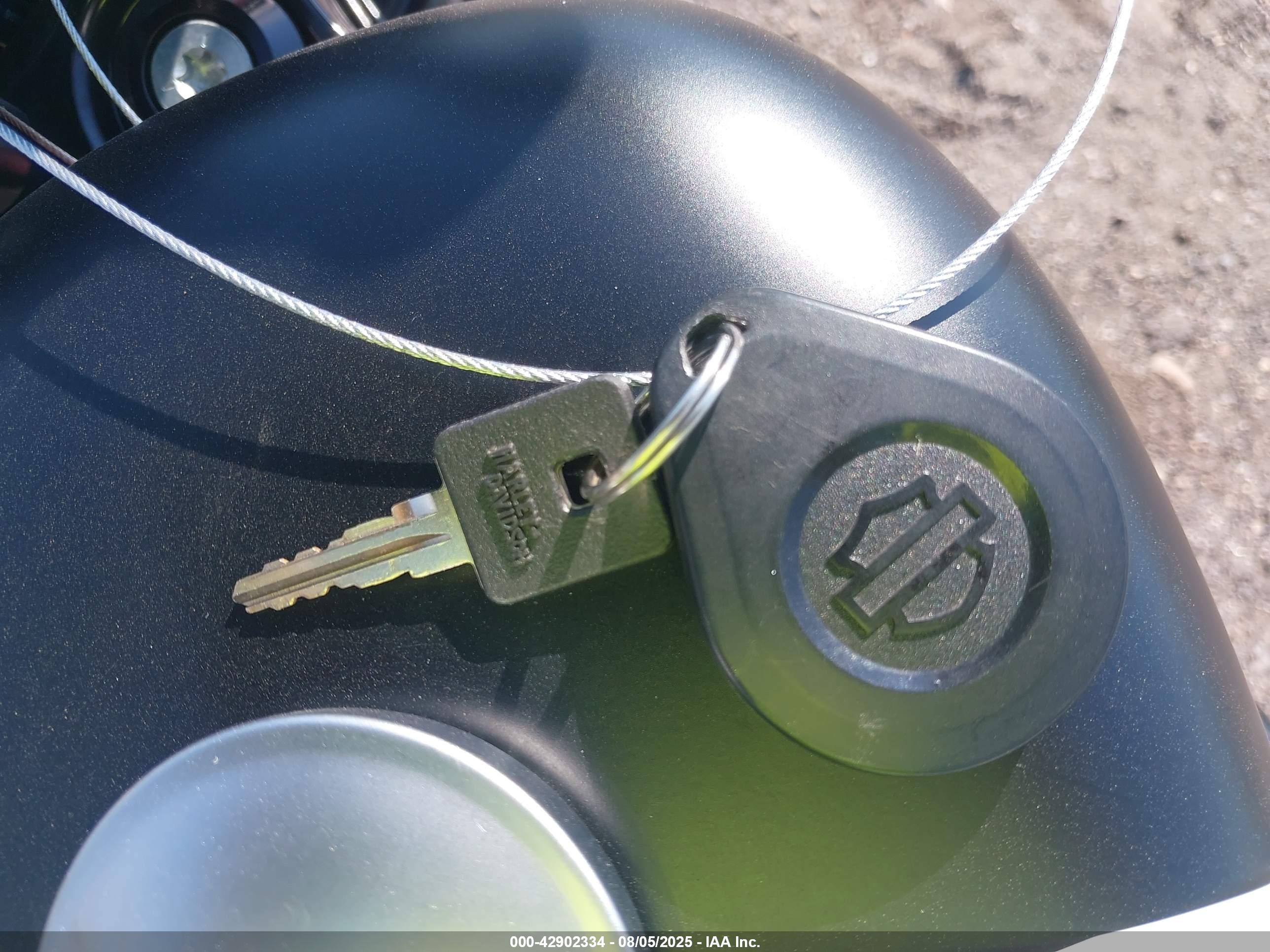 HARLEY-DAVIDSON XL883 image 11