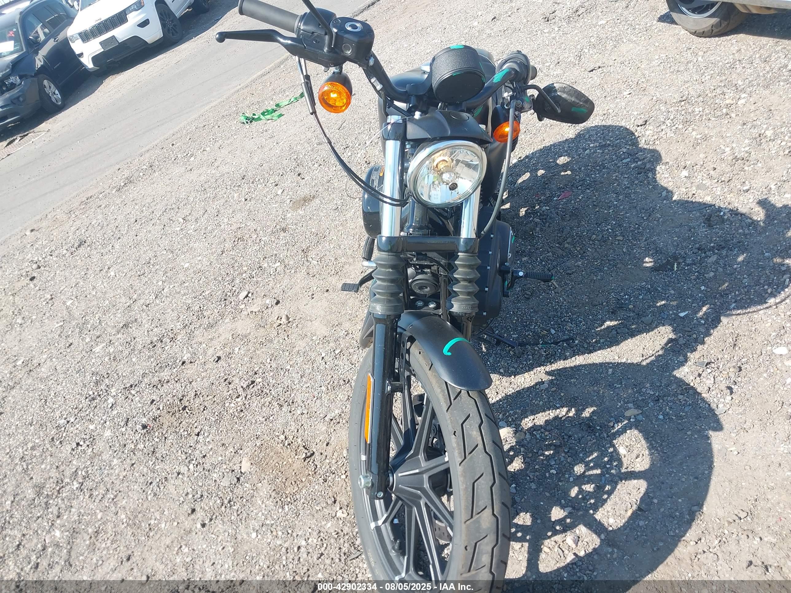 HARLEY-DAVIDSON XL883 image 5
