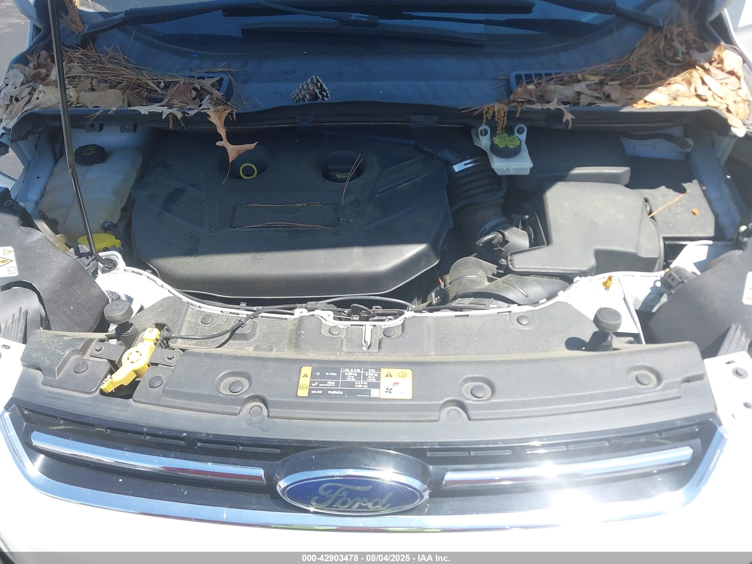 FORD ESCAPE image 10