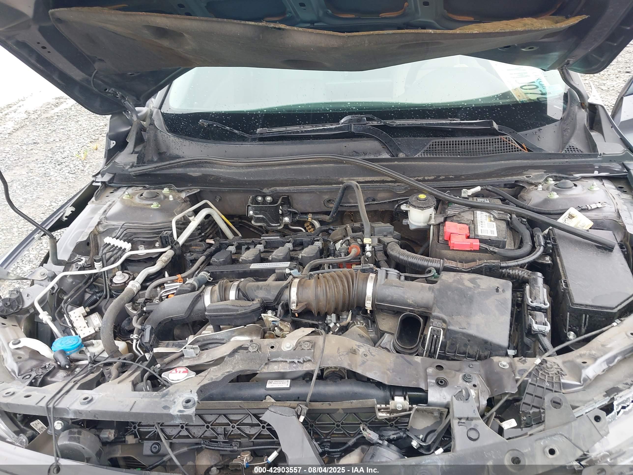 HONDA ACCORD image 10