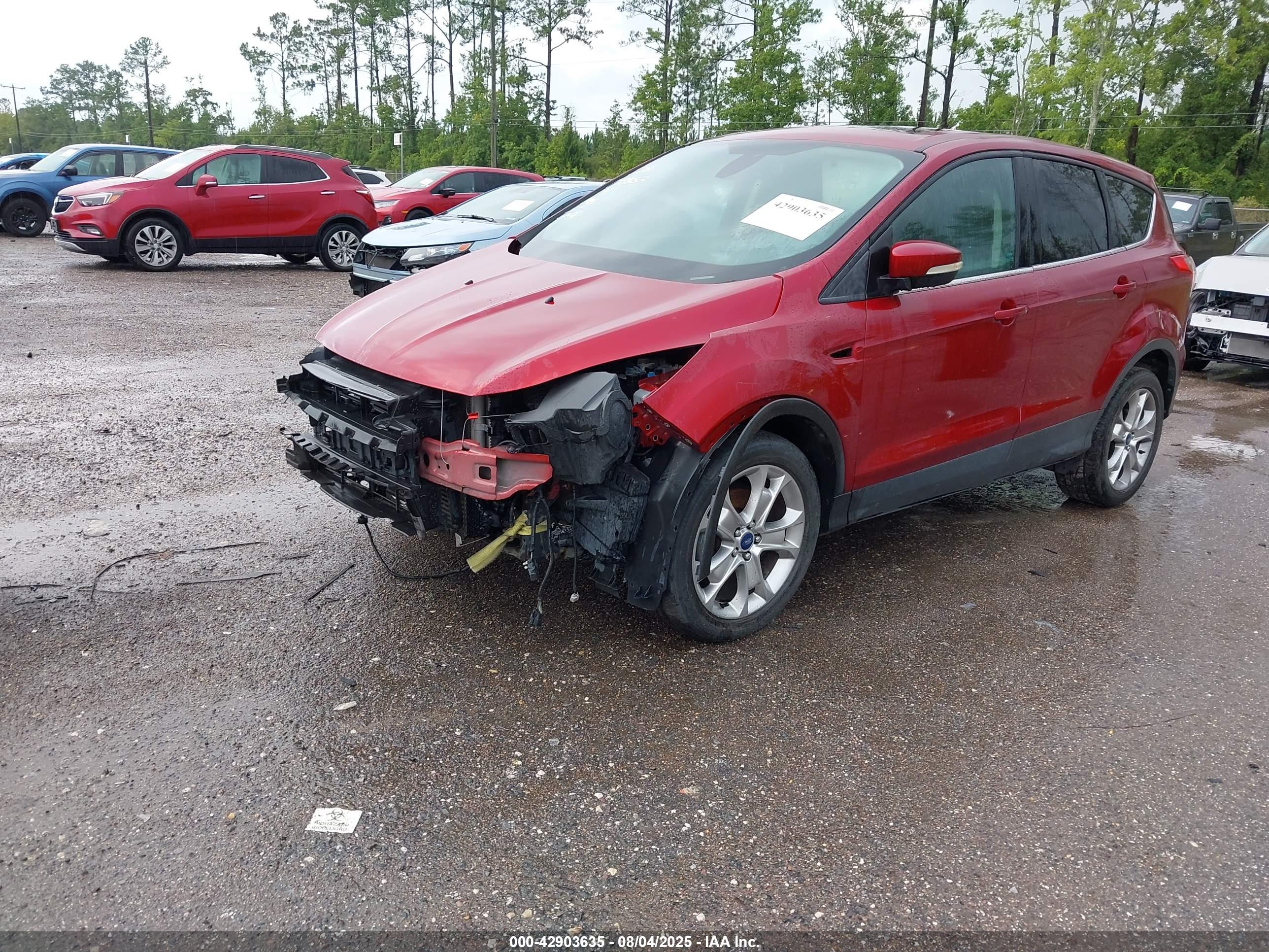 FORD ESCAPE image 2
