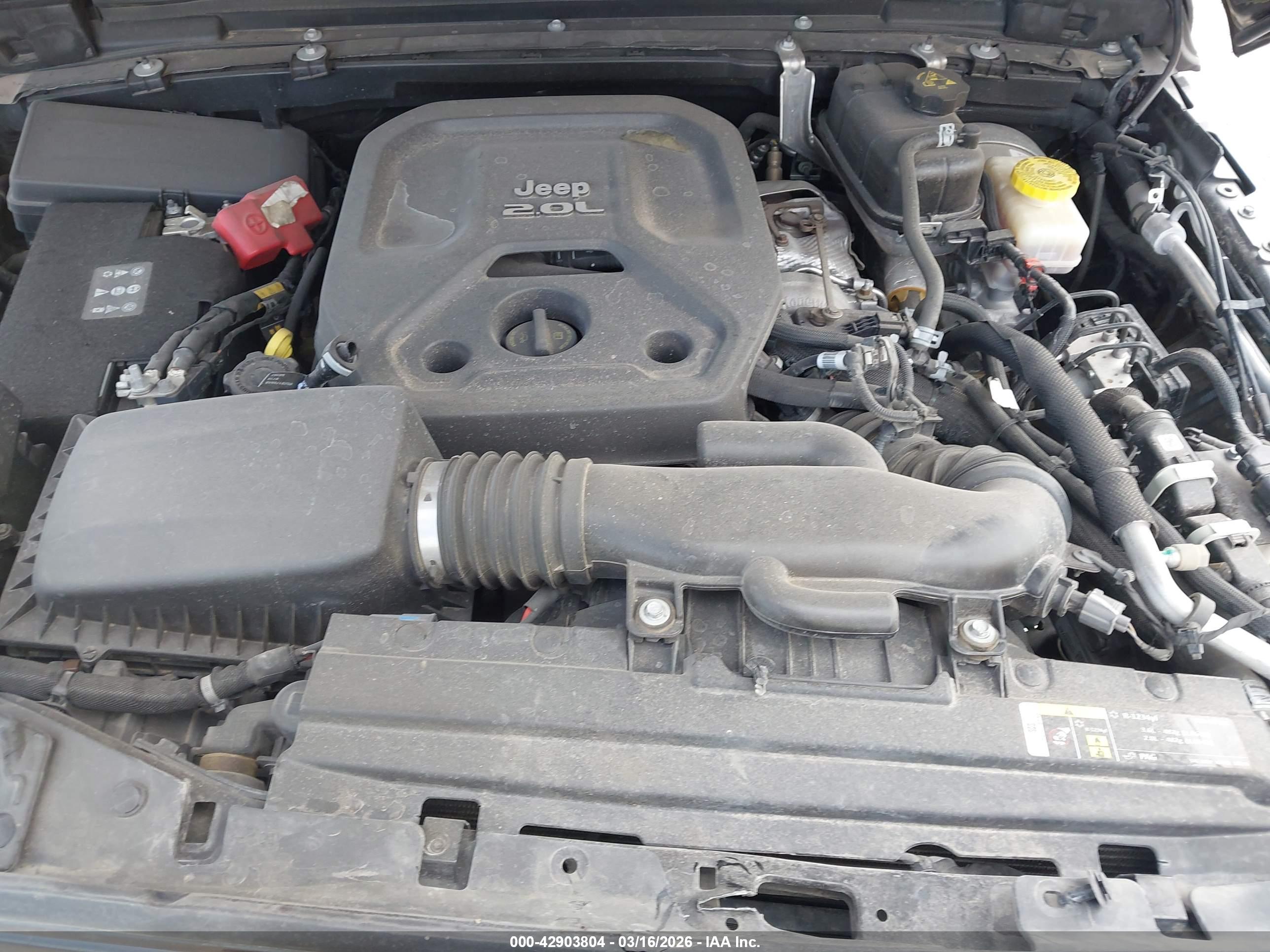 JEEP WRANGLER image 10
