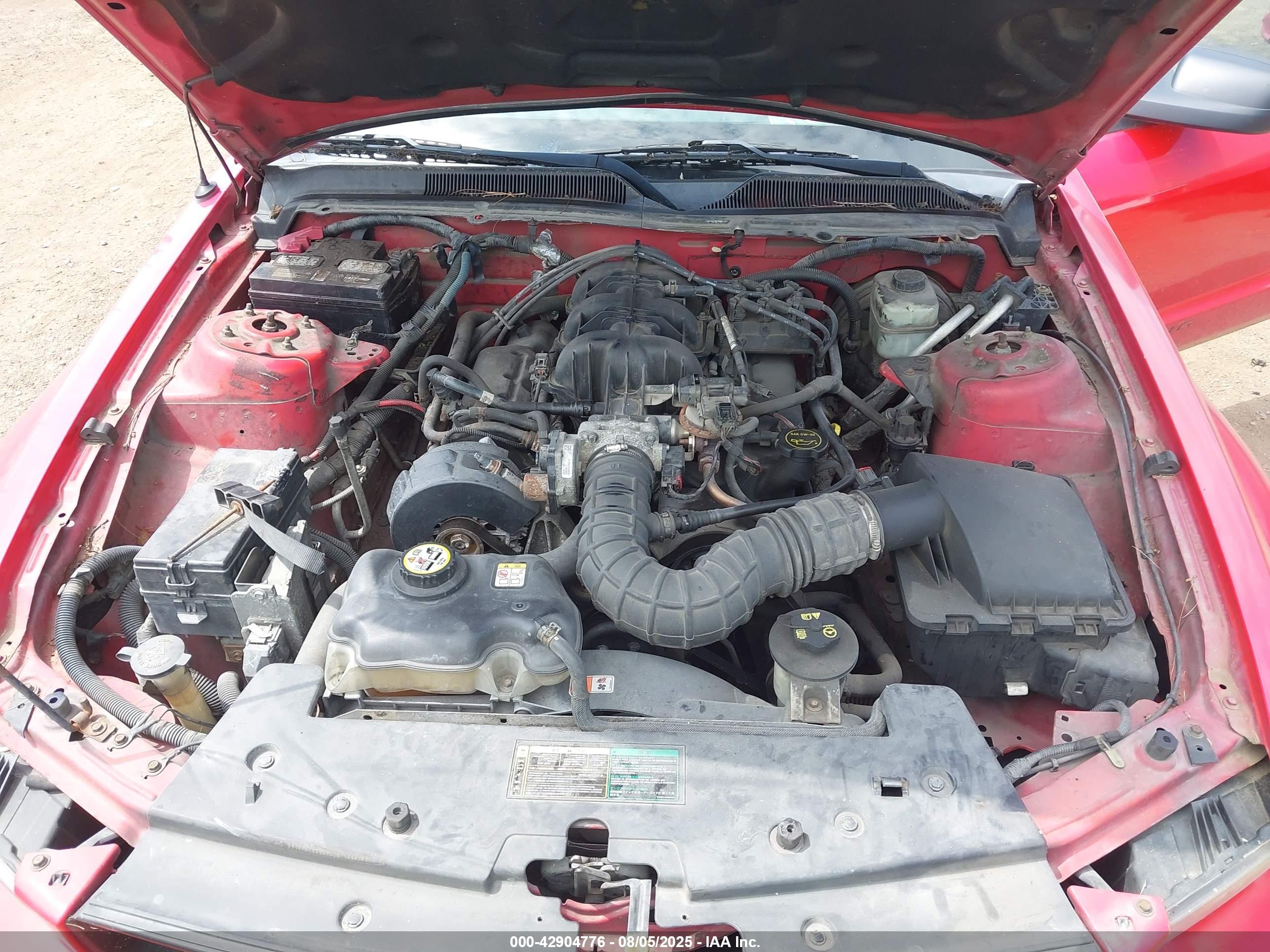 FORD MUSTANG image 10
