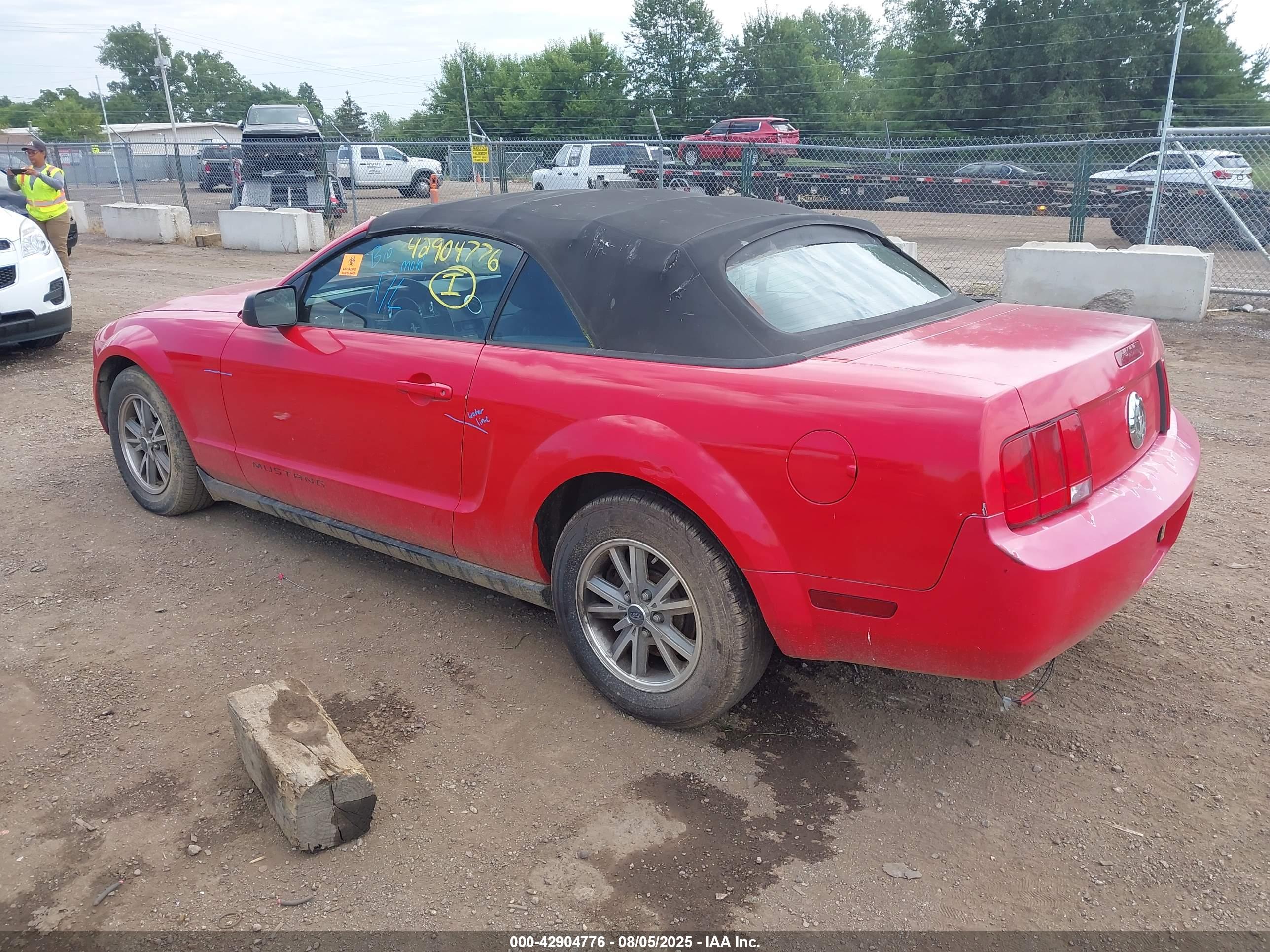 FORD MUSTANG image 3