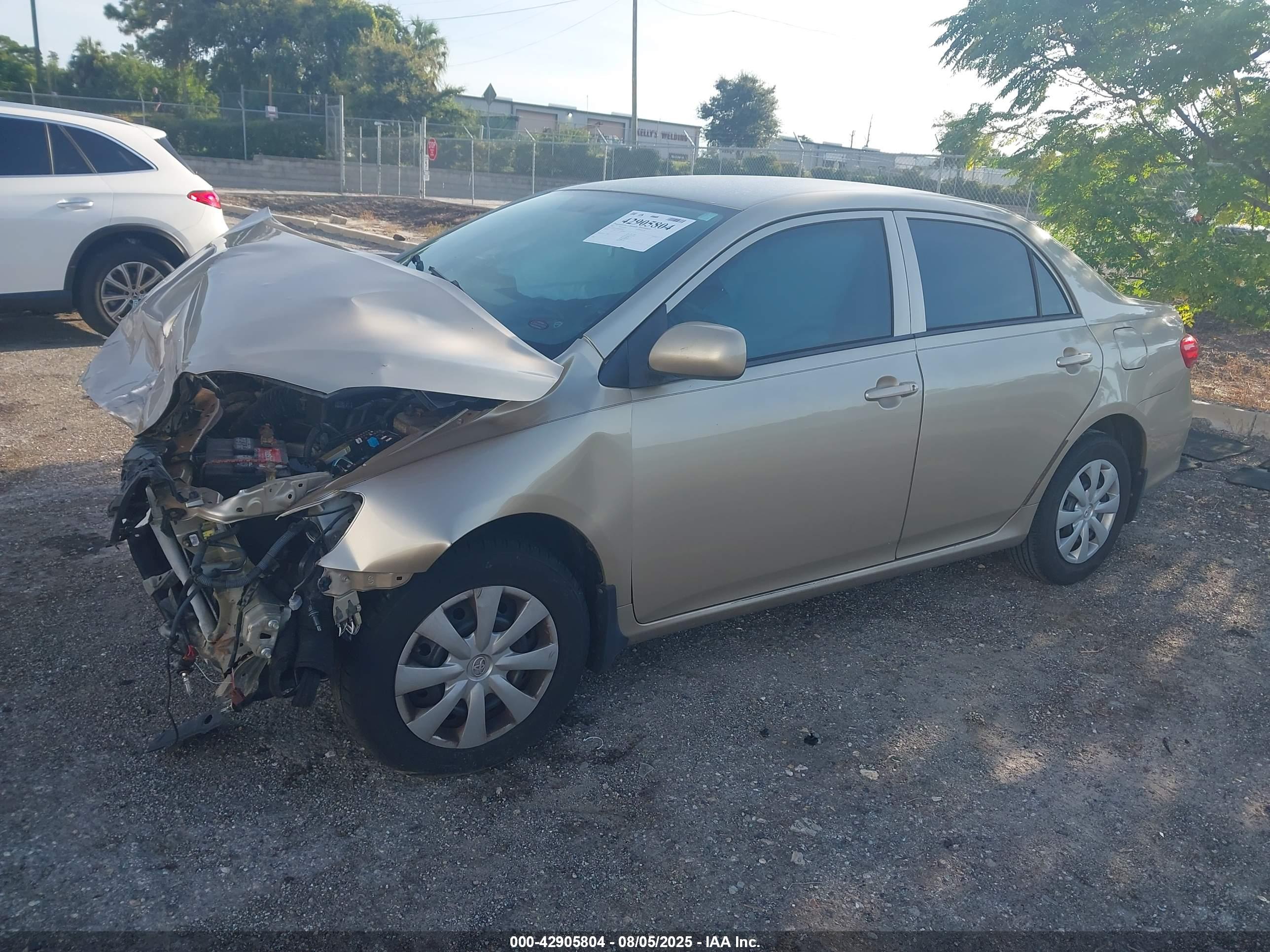 TOYOTA COROLLA image 2