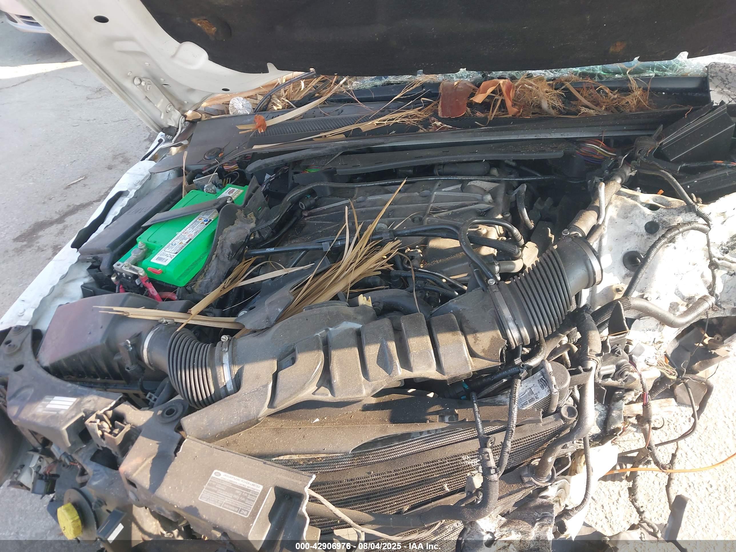 LAND ROVER image 10