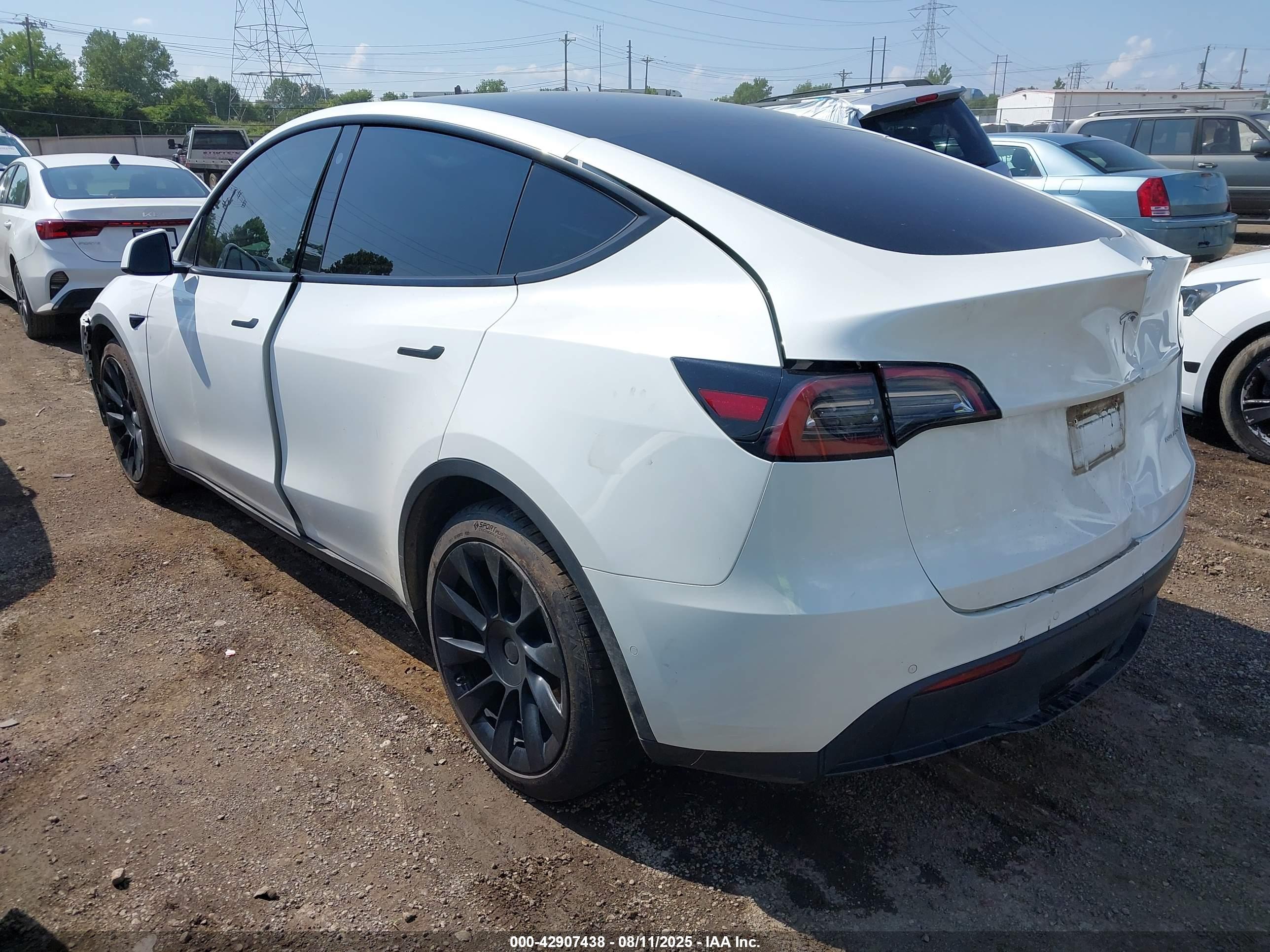 TESLA MODEL image 3