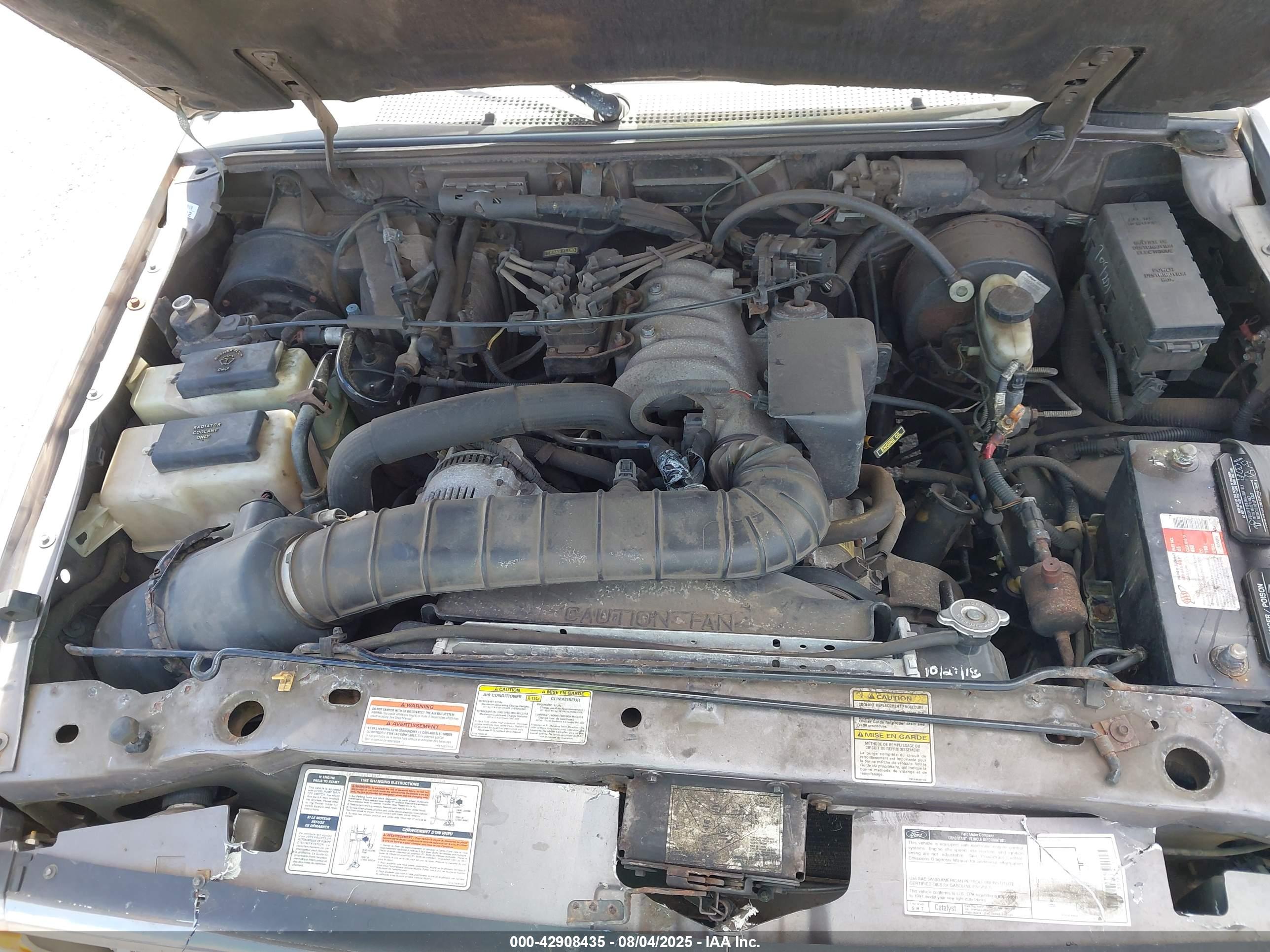 FORD RANGER image 10