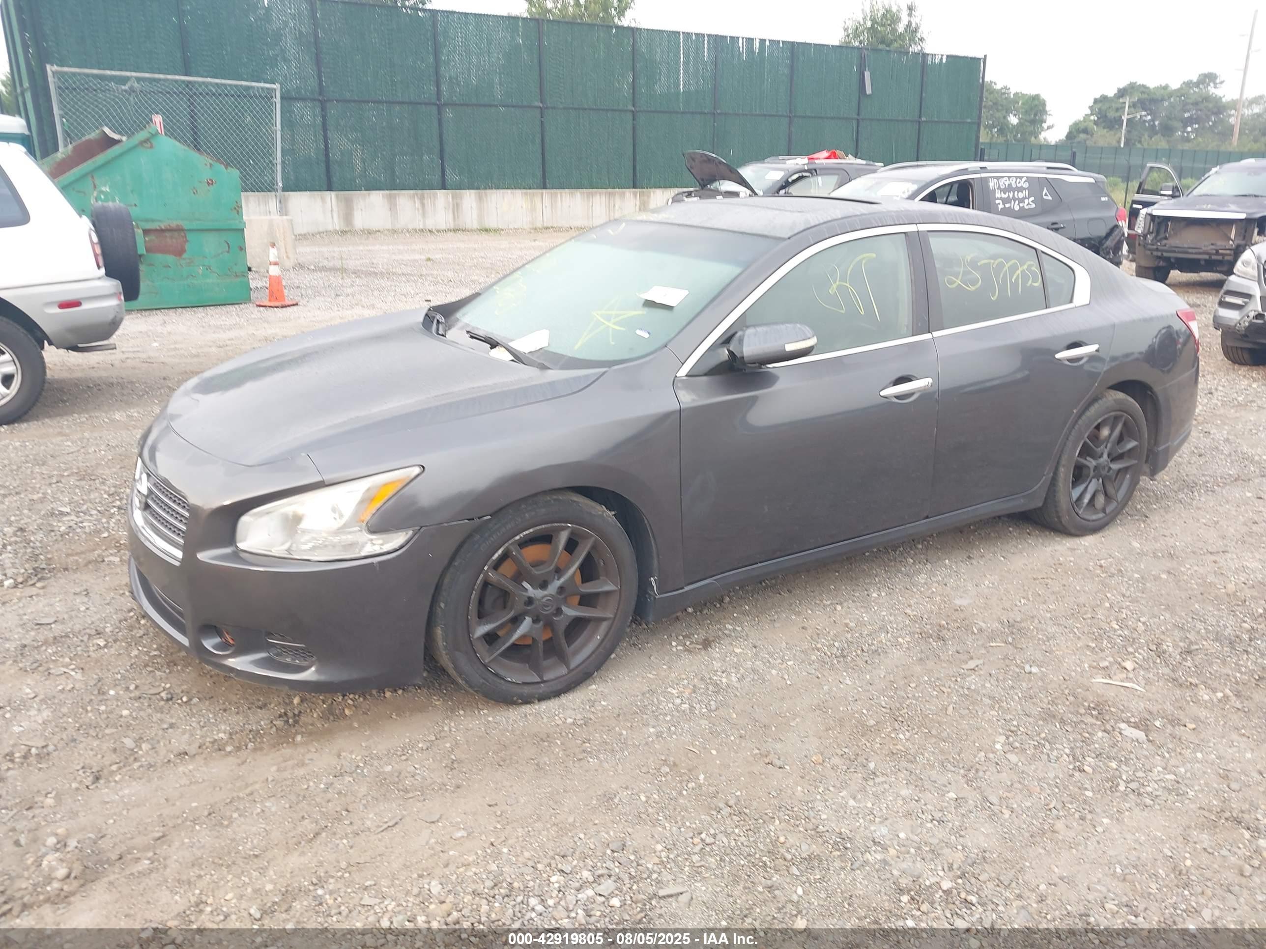 NISSAN MAXIMA image 2