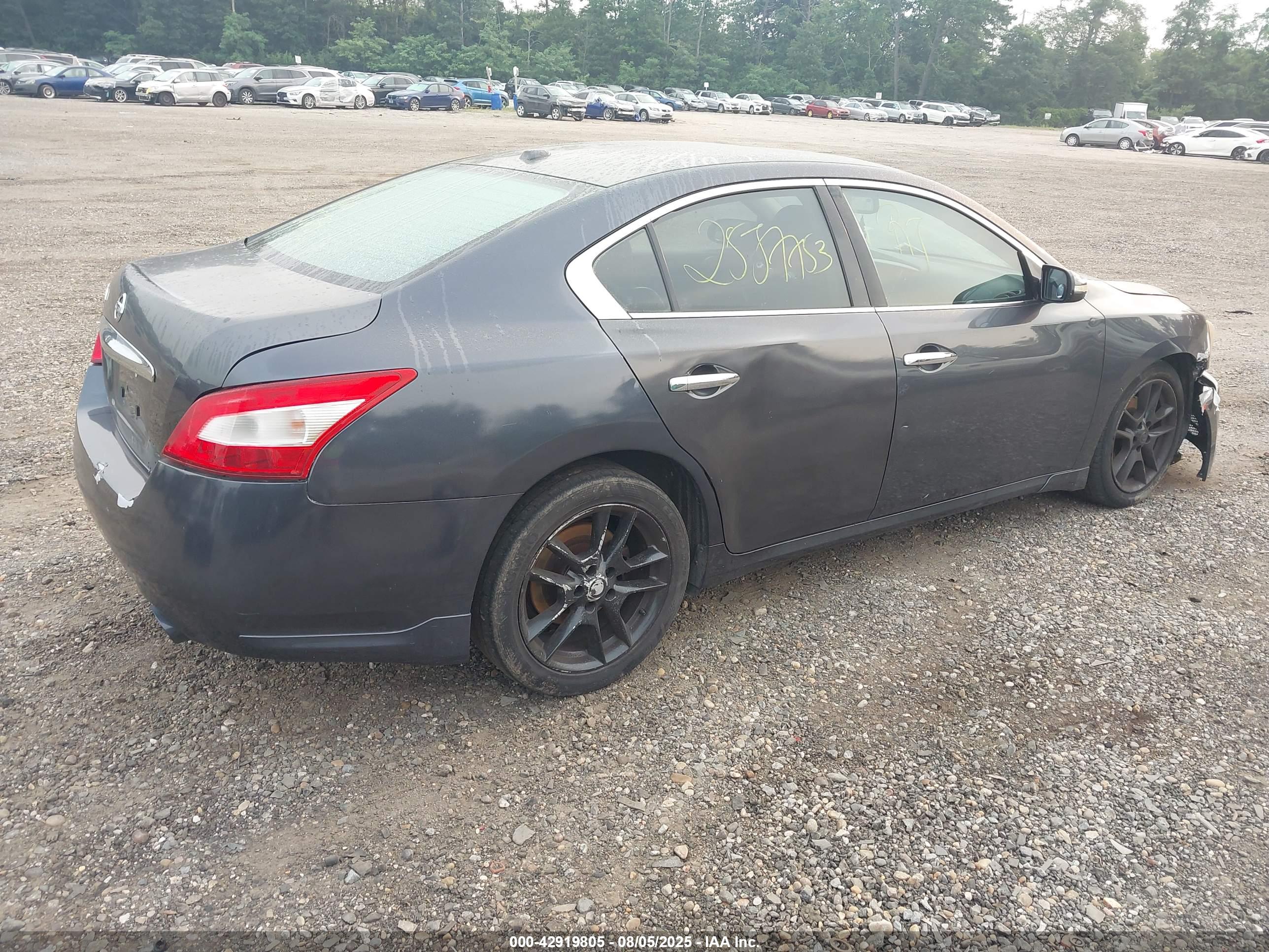 NISSAN MAXIMA image 4