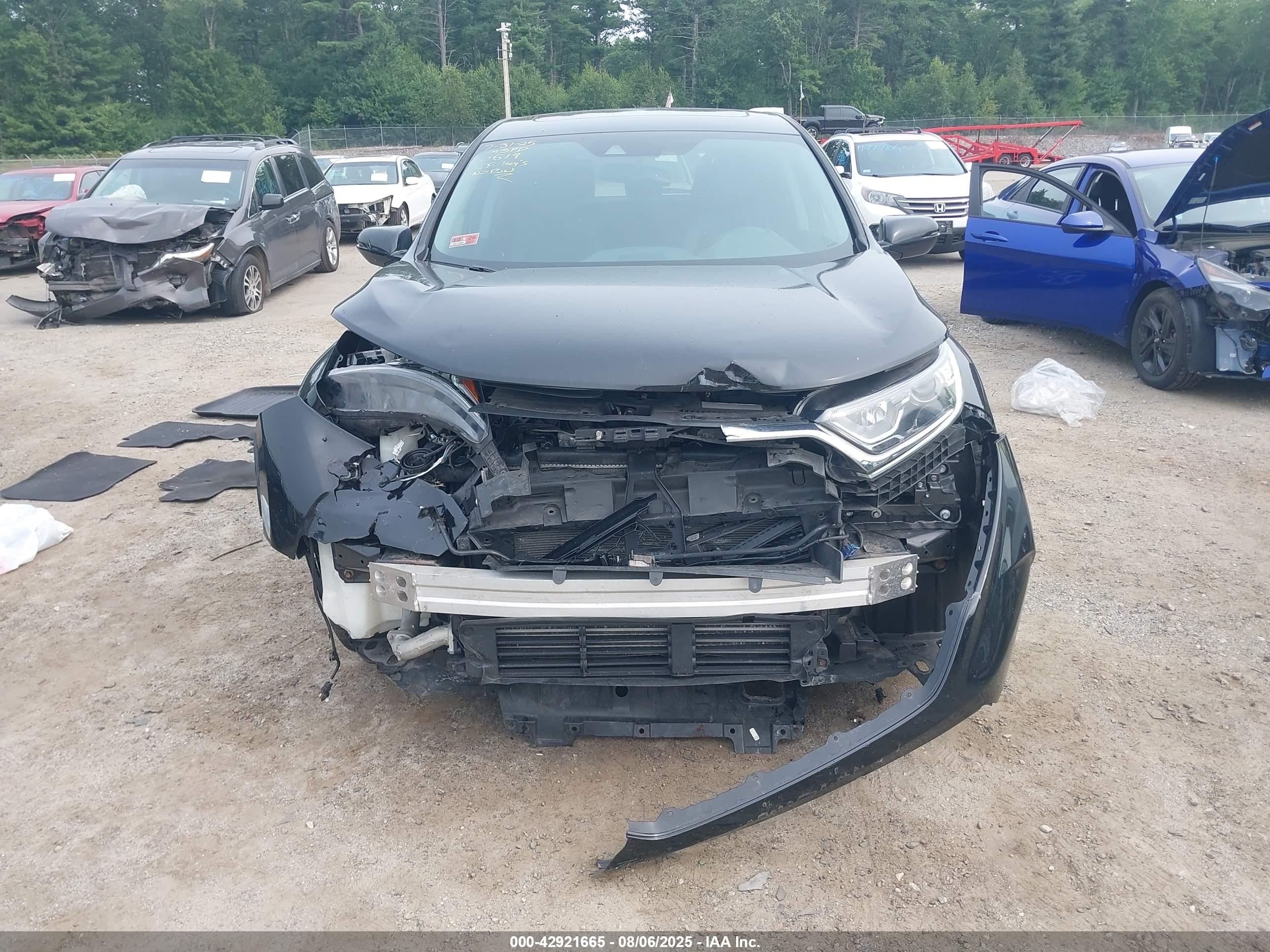 HONDA CR-V image 6
