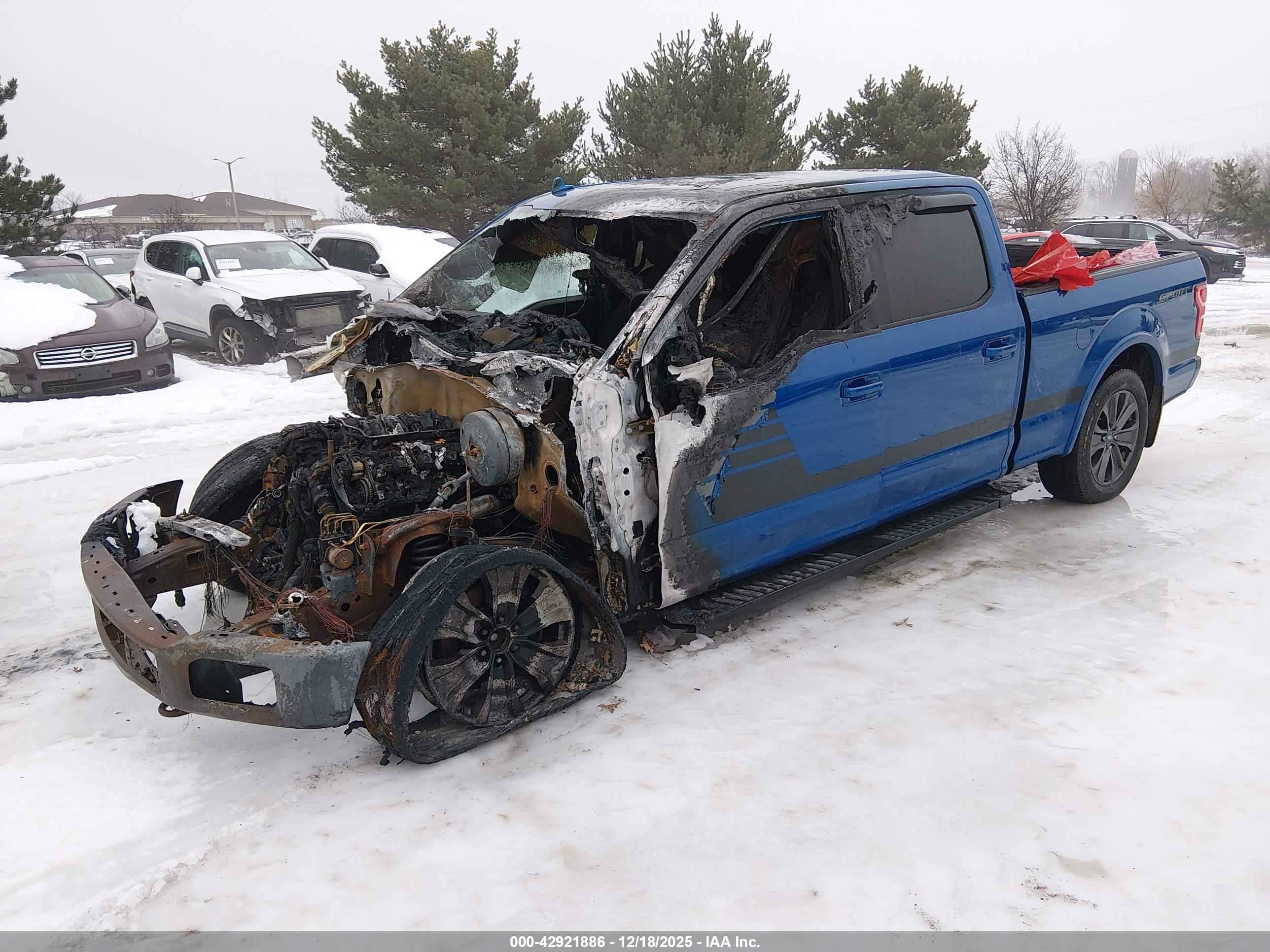FORD F-150 image 2