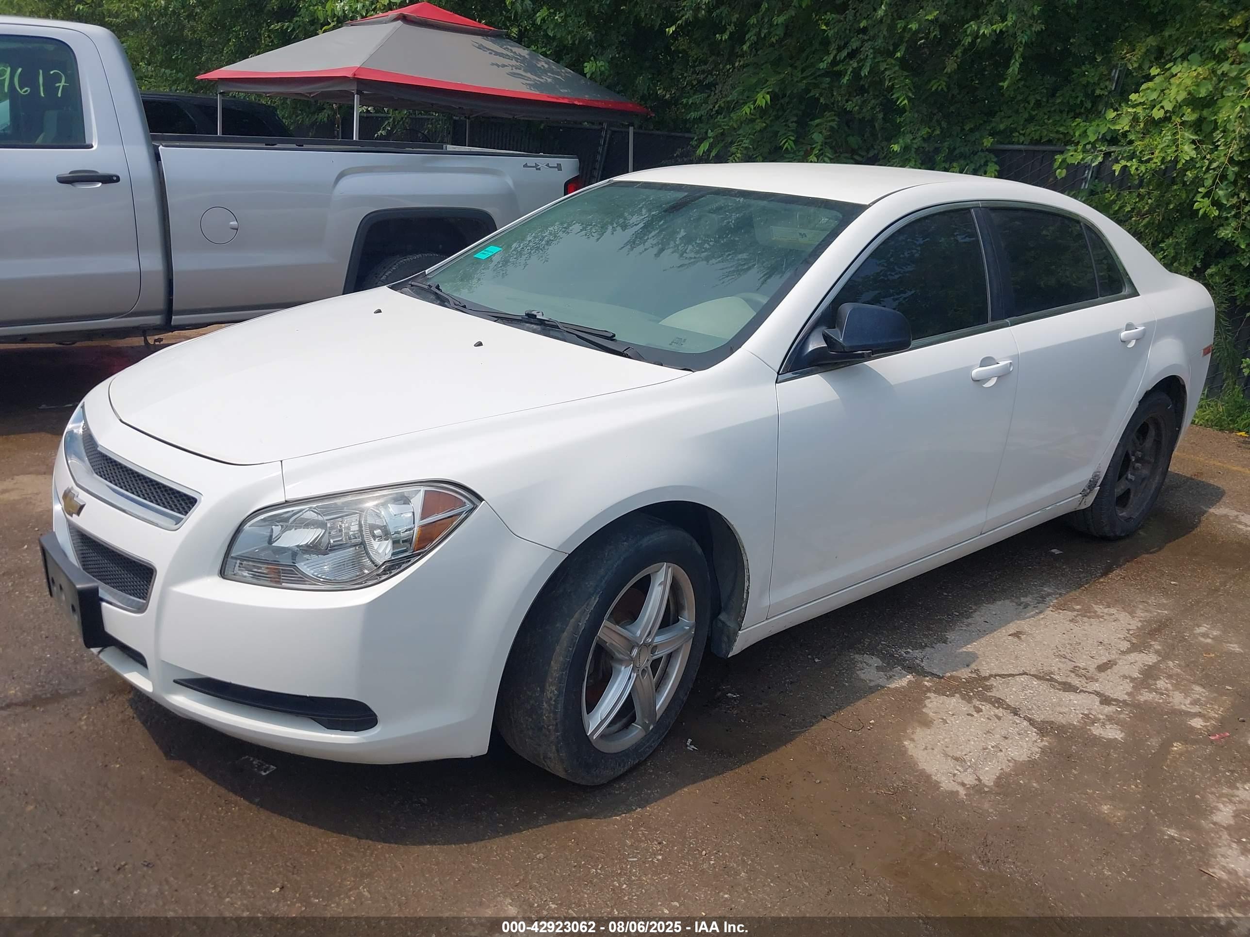 CHEVROLET MALIBU image 2