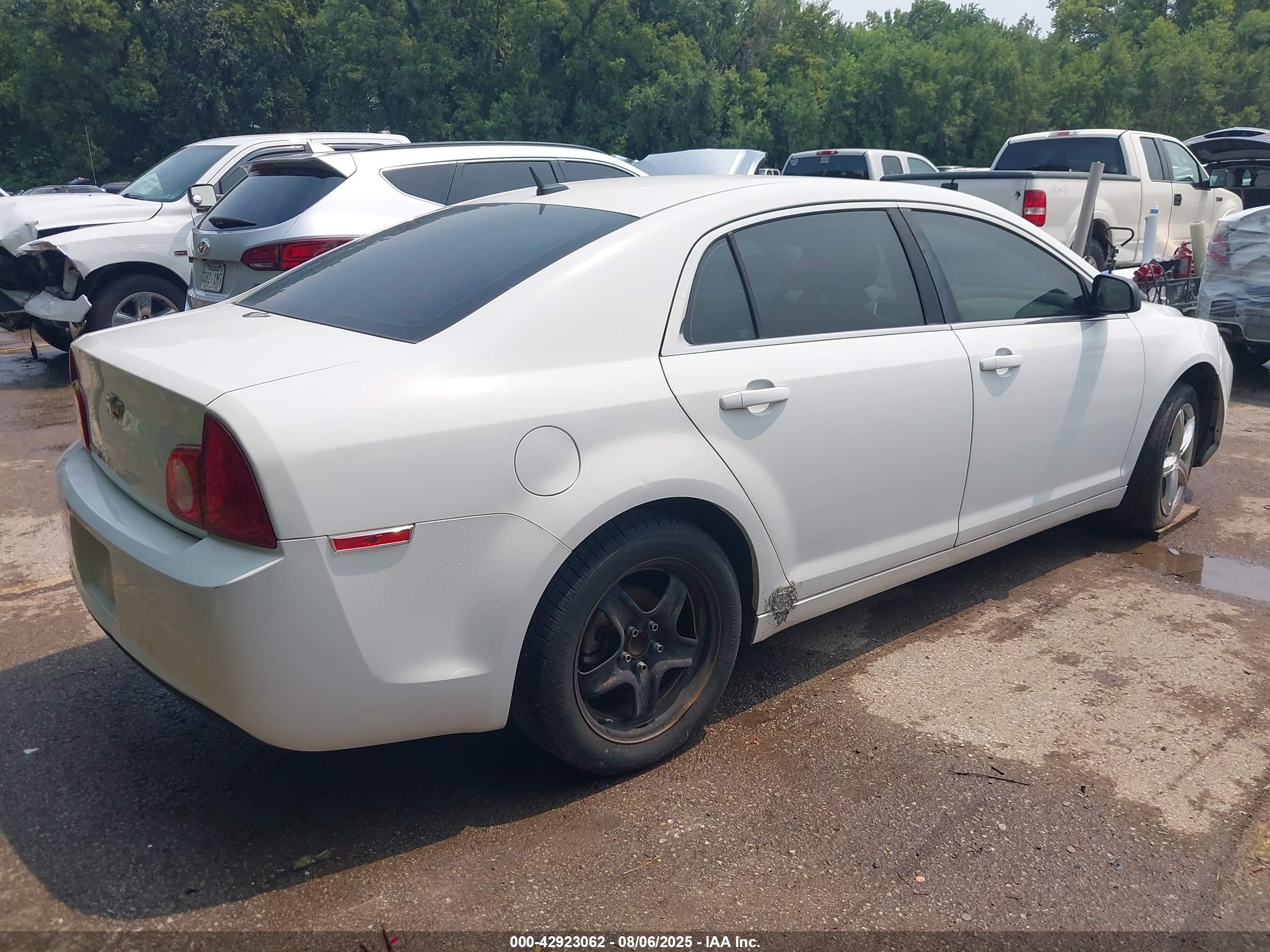 CHEVROLET MALIBU image 4