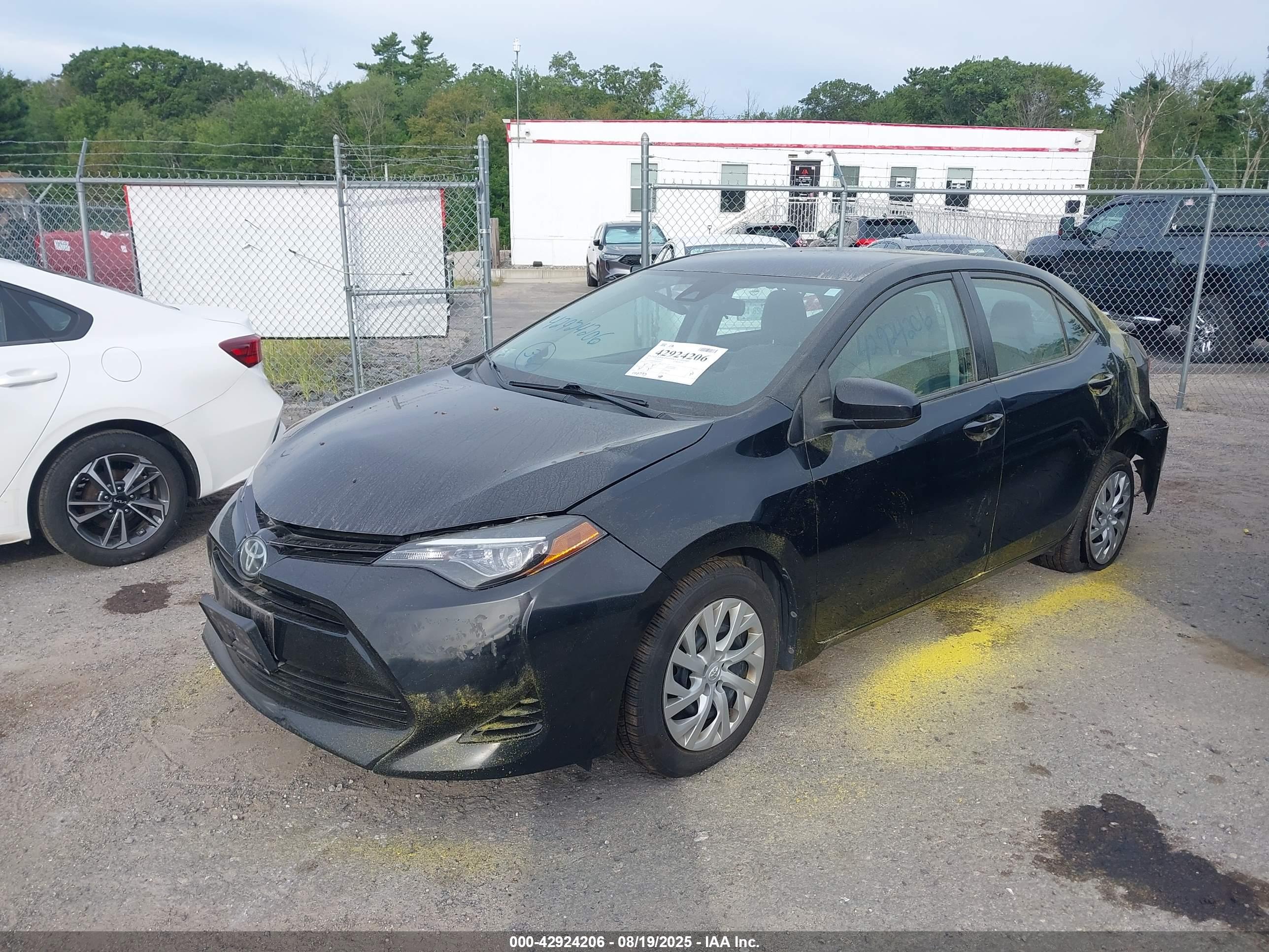 TOYOTA COROLLA image 2