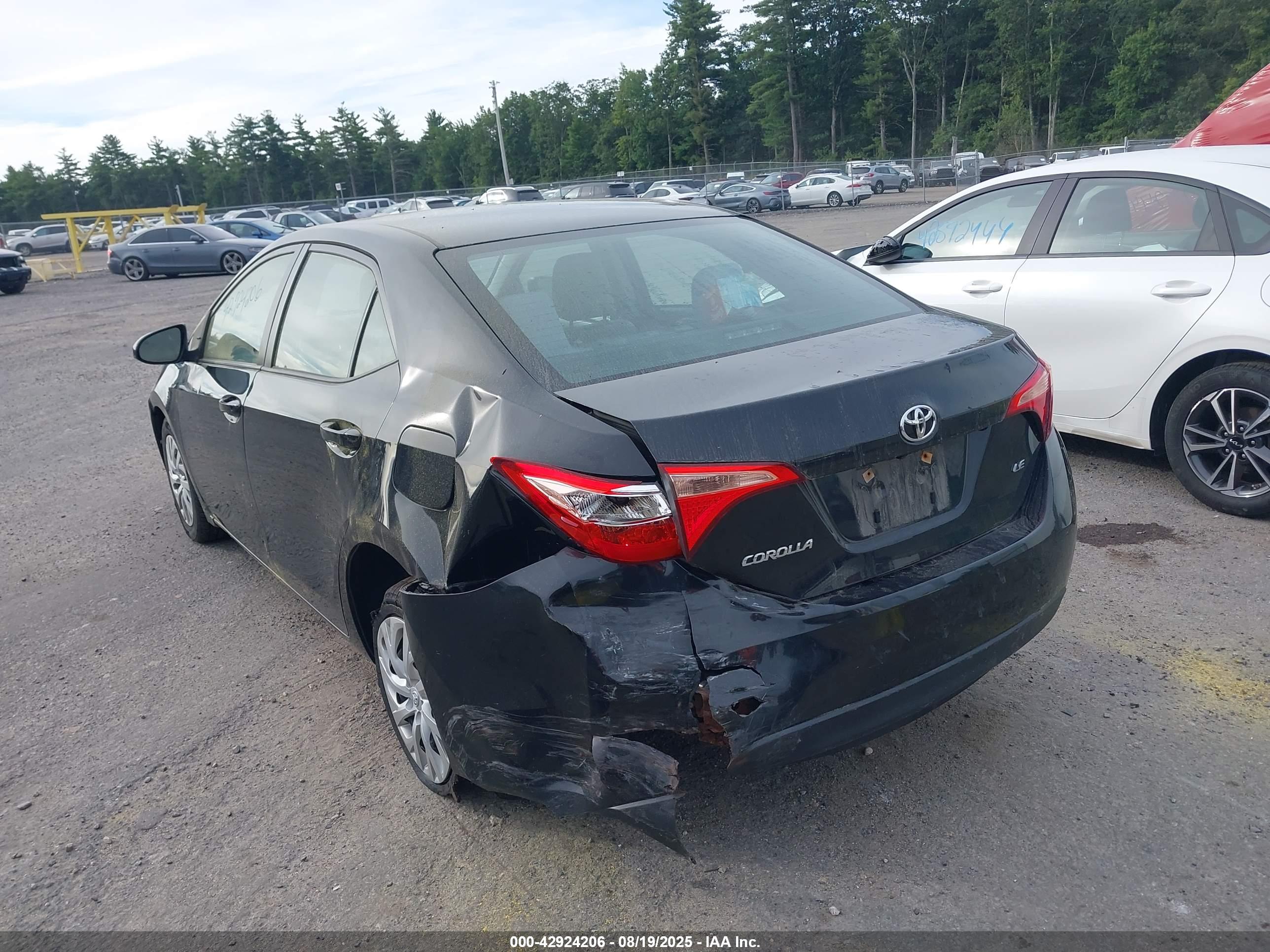 TOYOTA COROLLA image 6