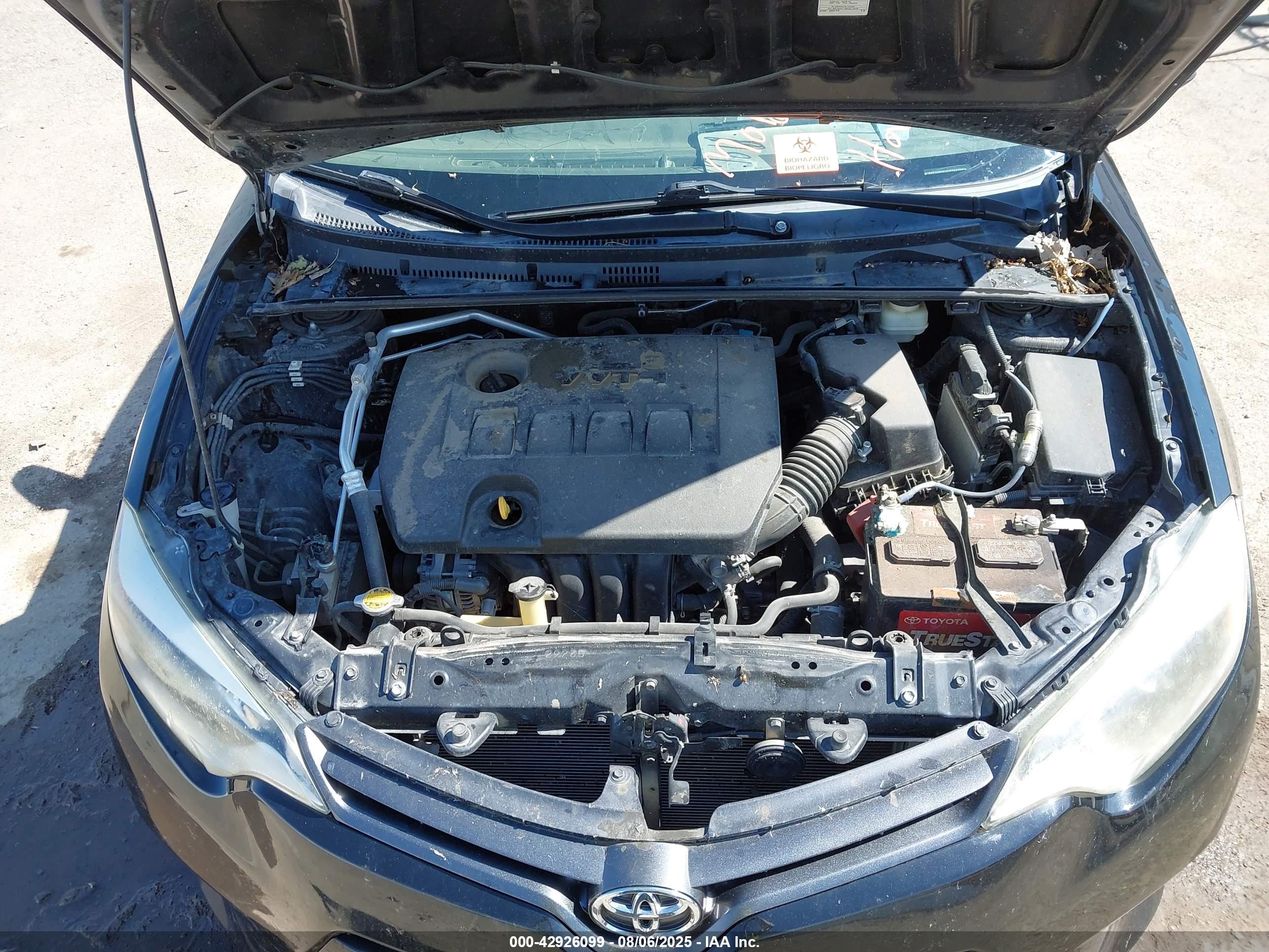 TOYOTA COROLLA image 10