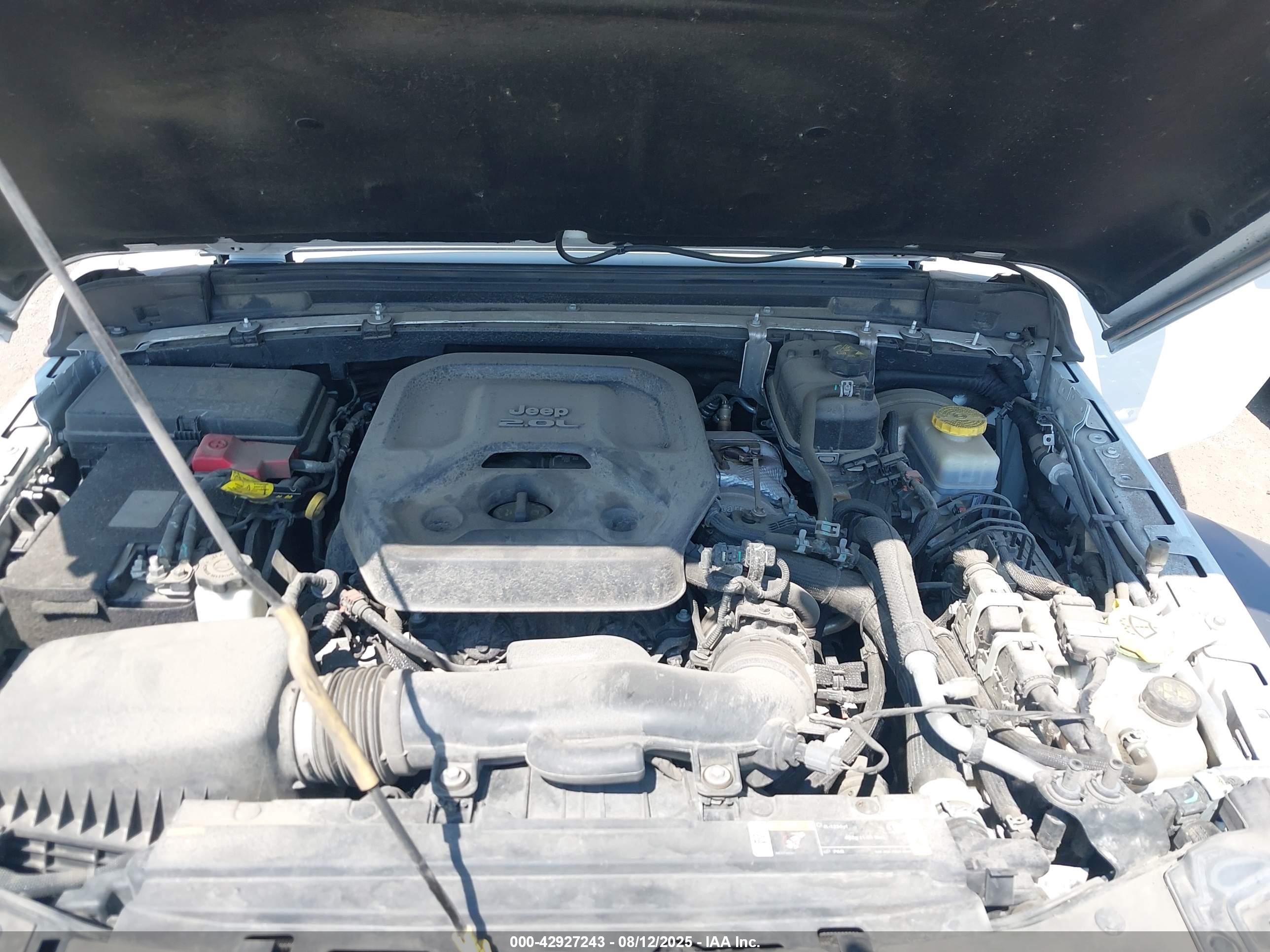 JEEP WRANGLER image 10