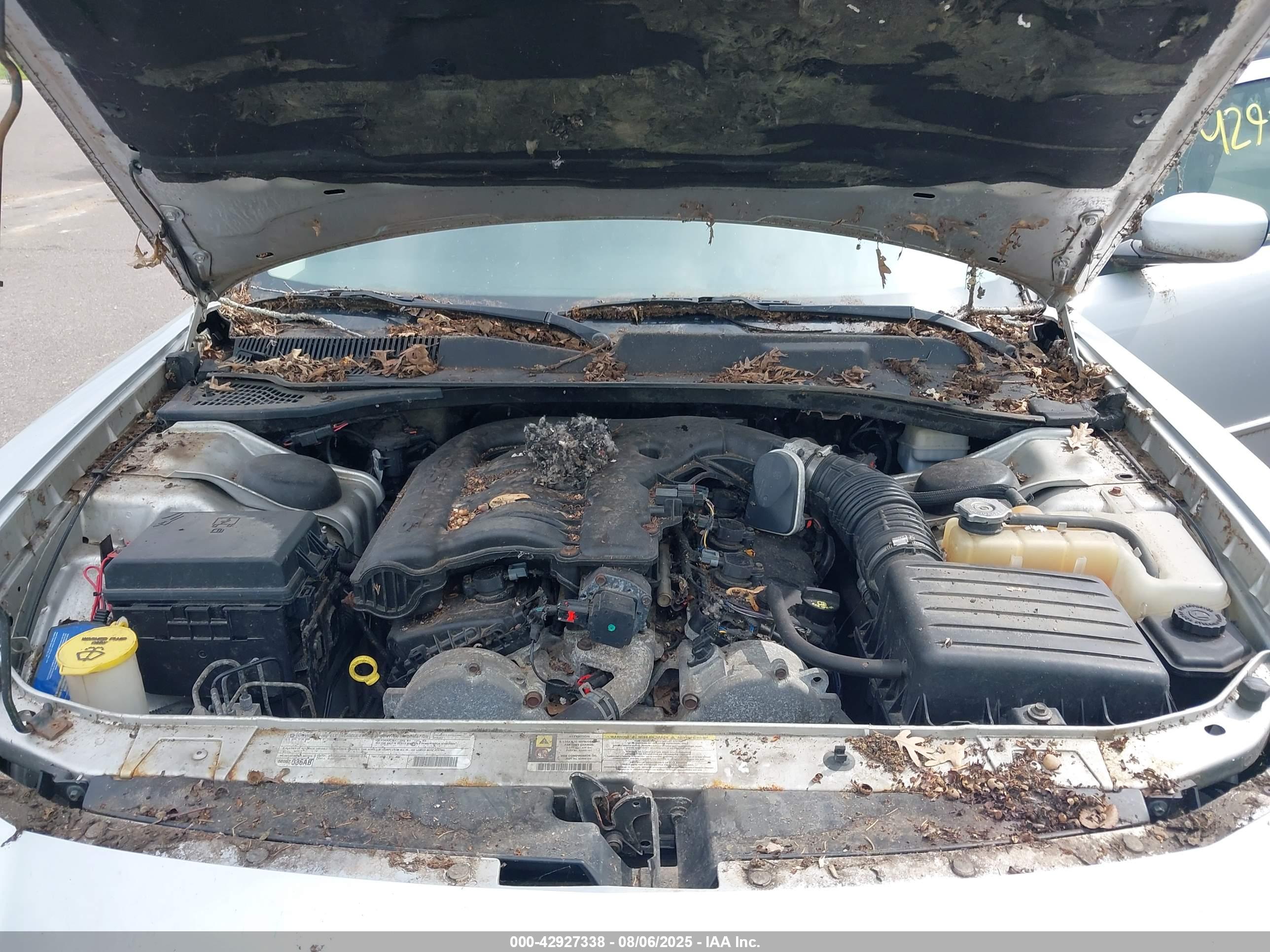DODGE CHARGER image 10