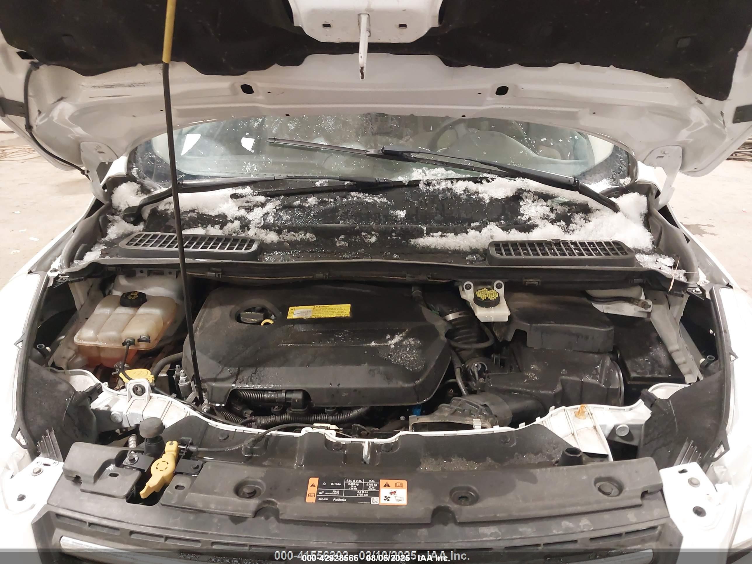 FORD ESCAPE image 10