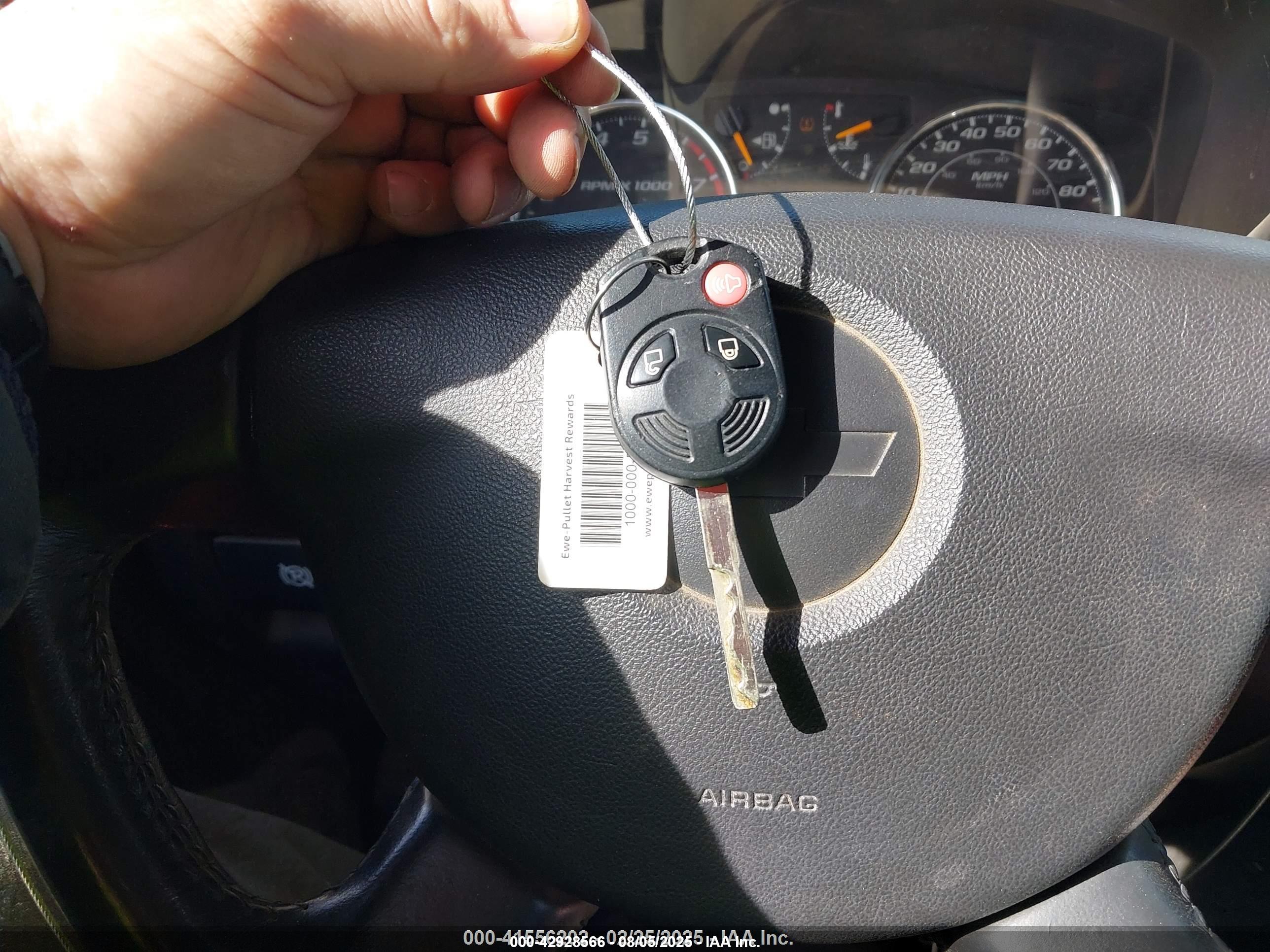 FORD ESCAPE image 11