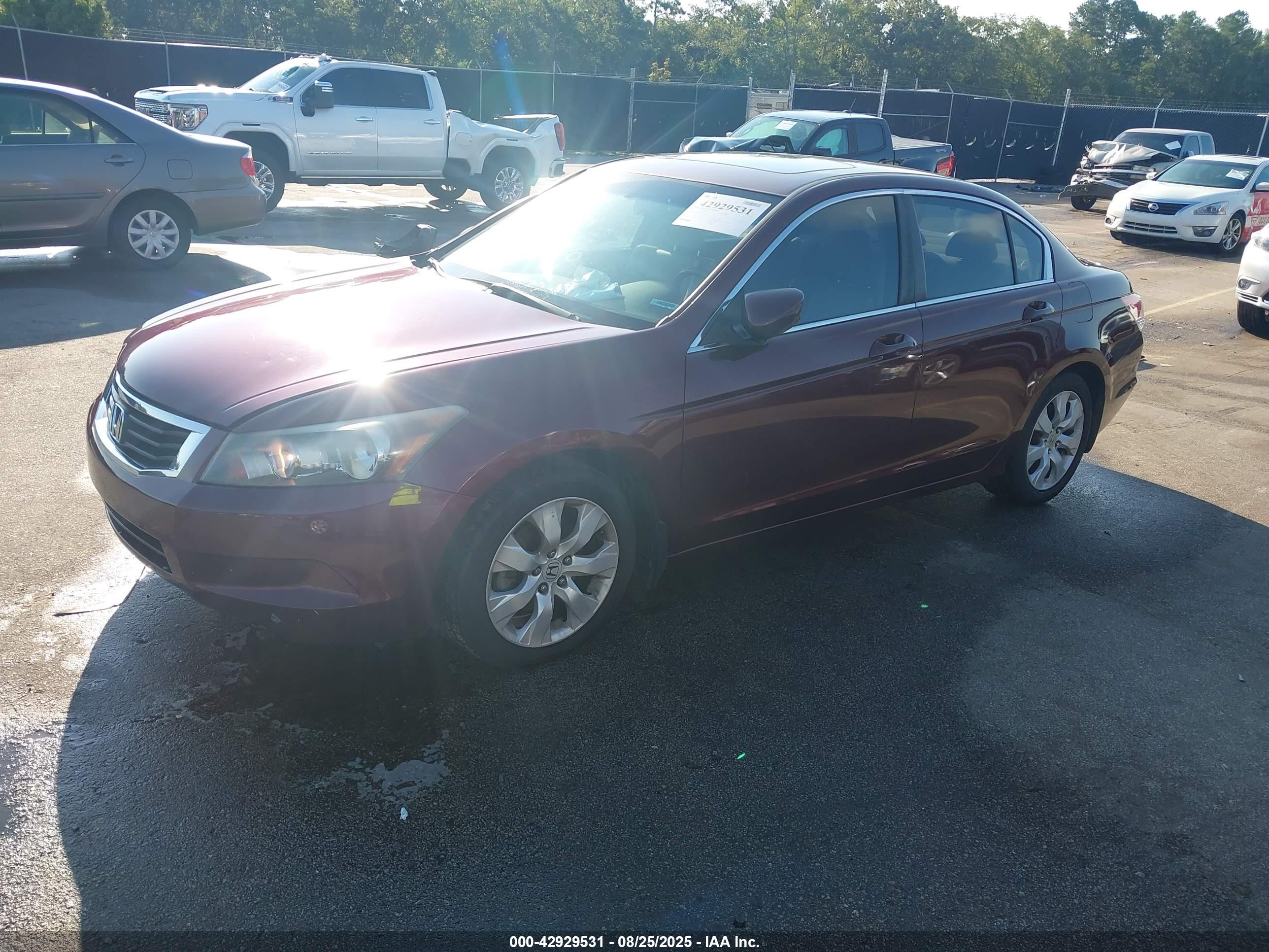 HONDA ACCORD image 2