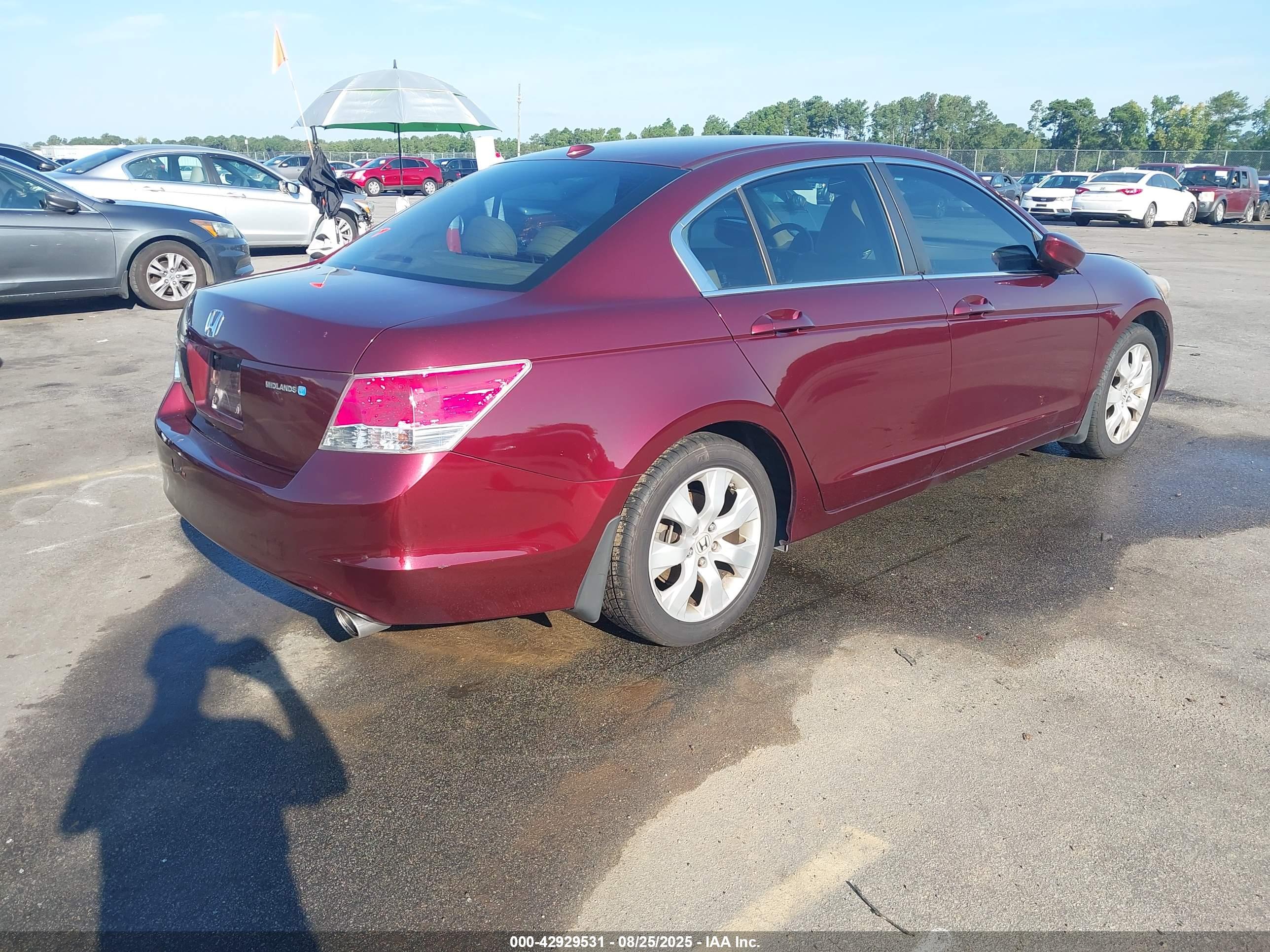 HONDA ACCORD image 4