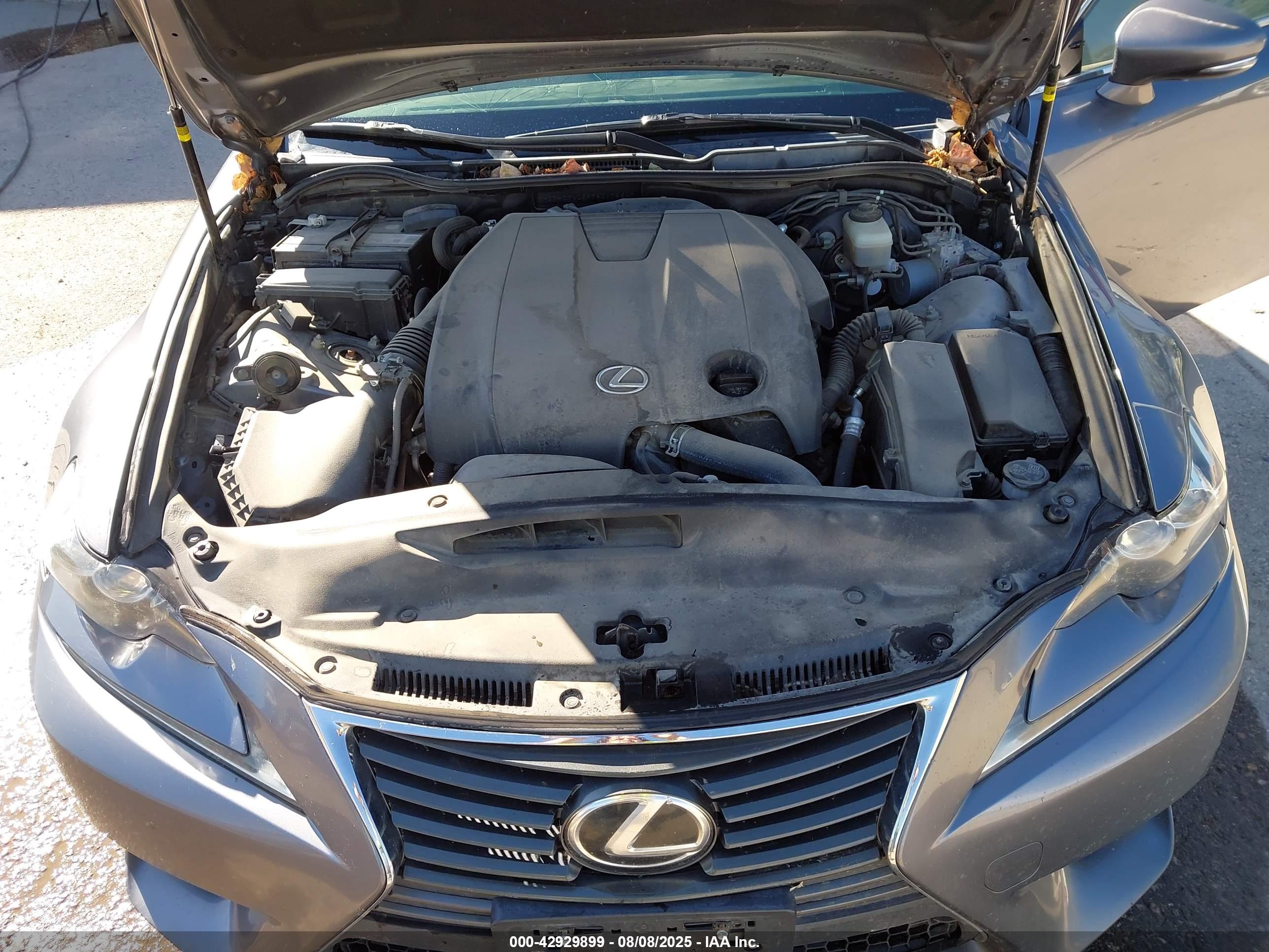 LEXUS IS image 10