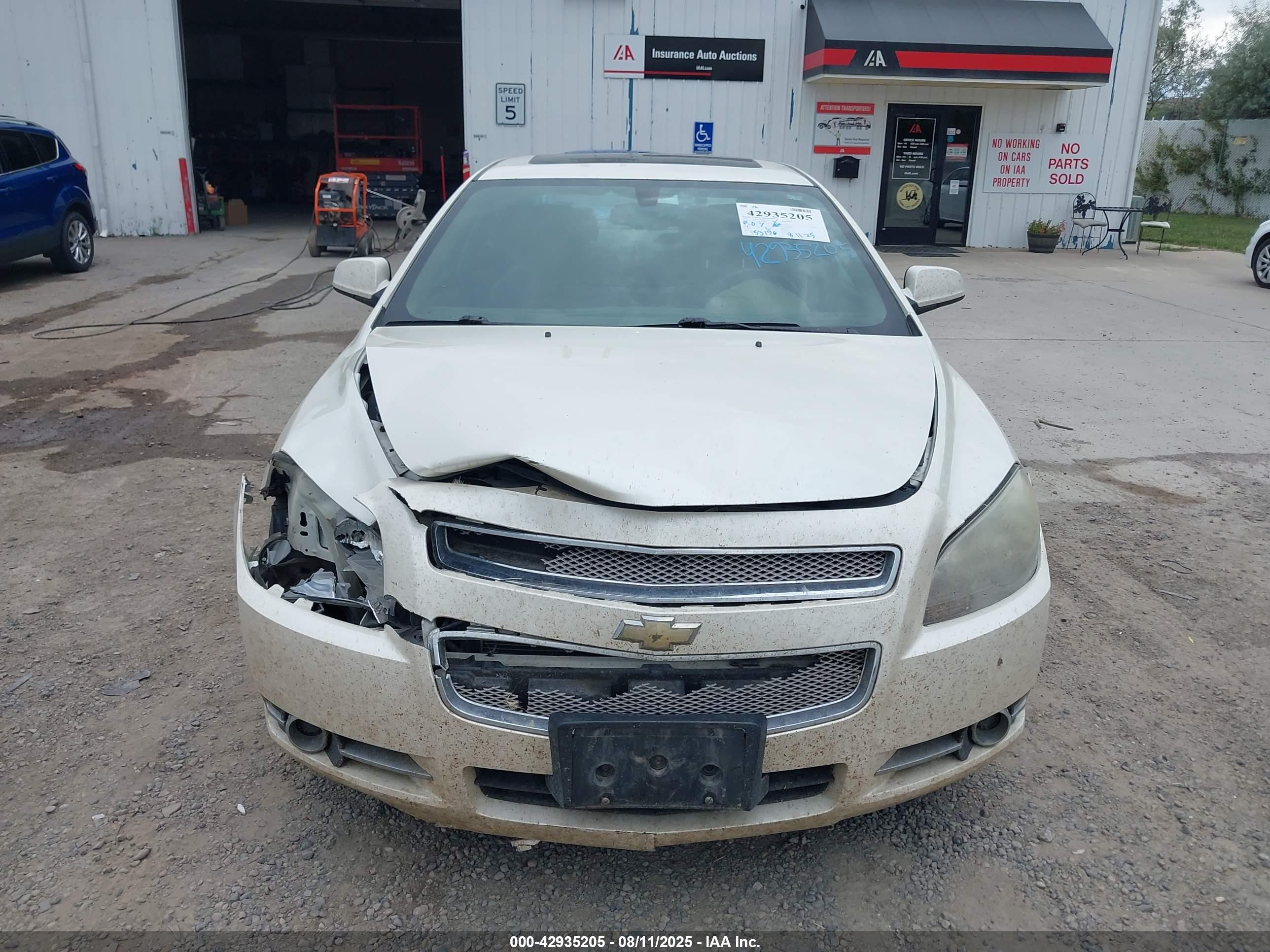 CHEVROLET MALIBU image 6