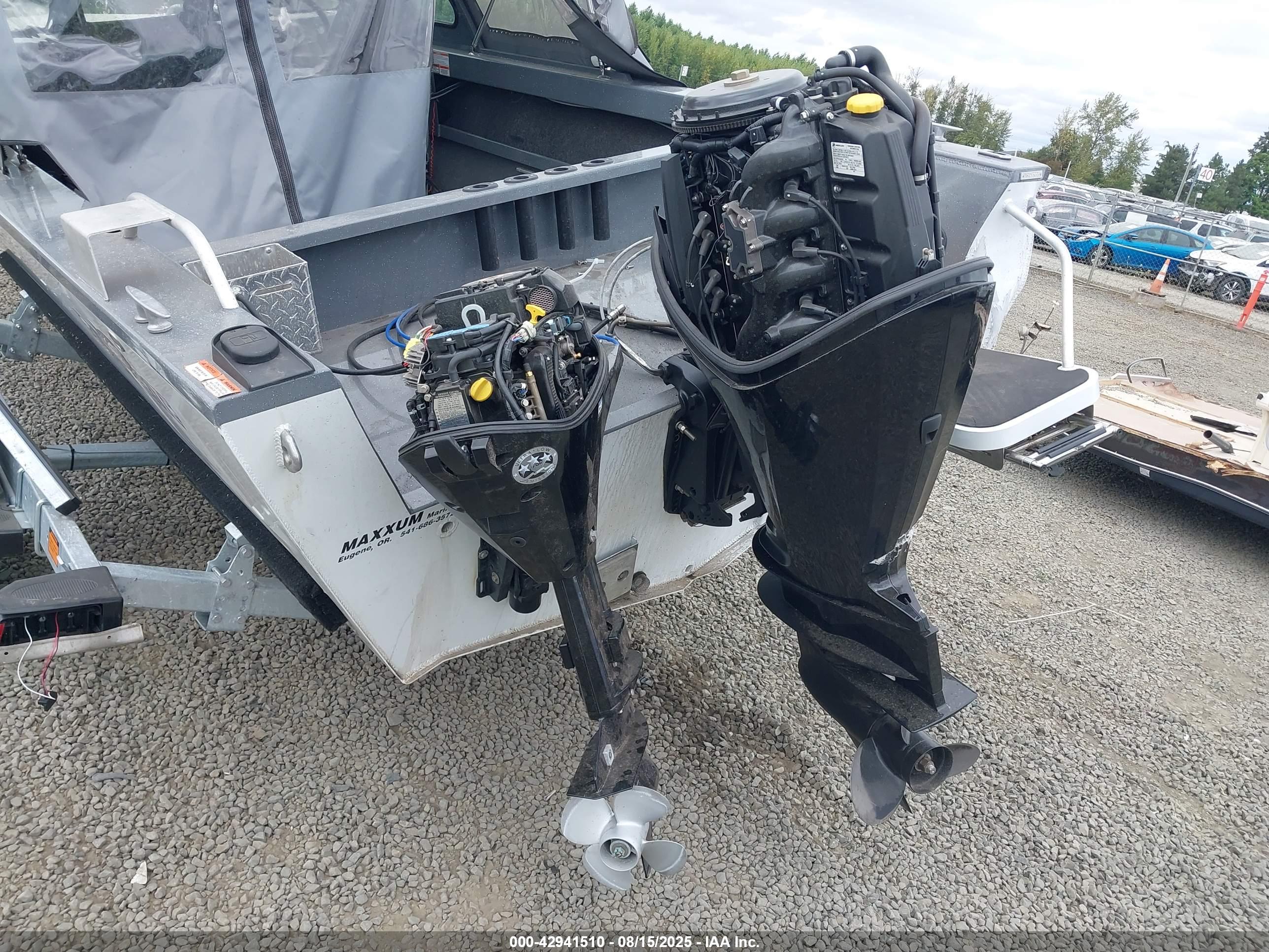 FISH DLX image 10