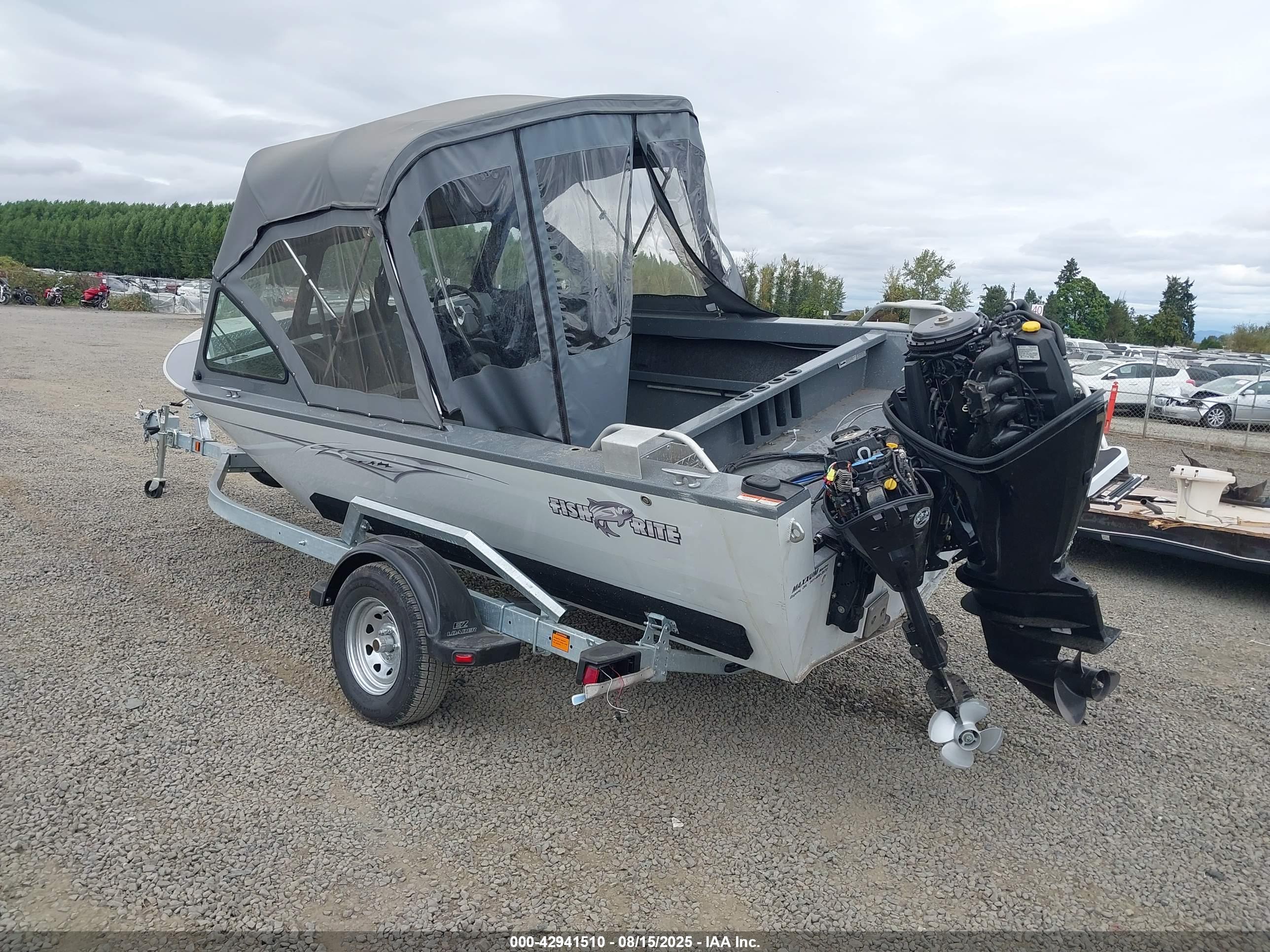 FISH DLX image 3