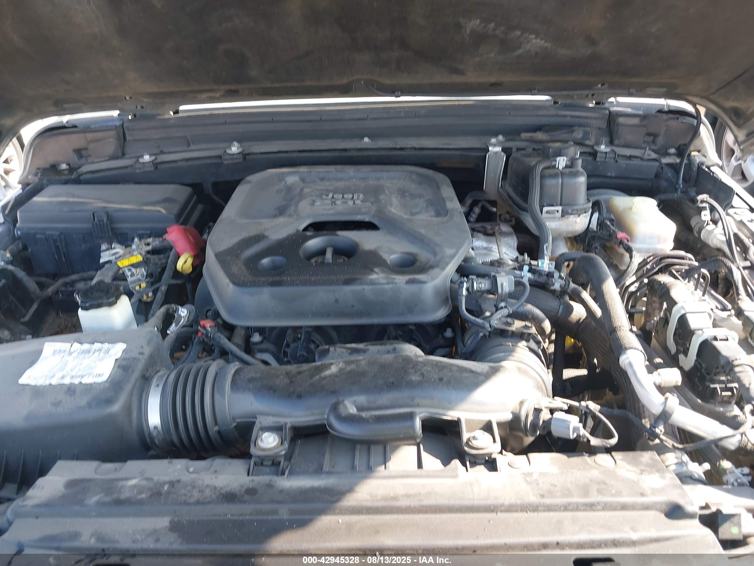 JEEP WRANGLER image 10