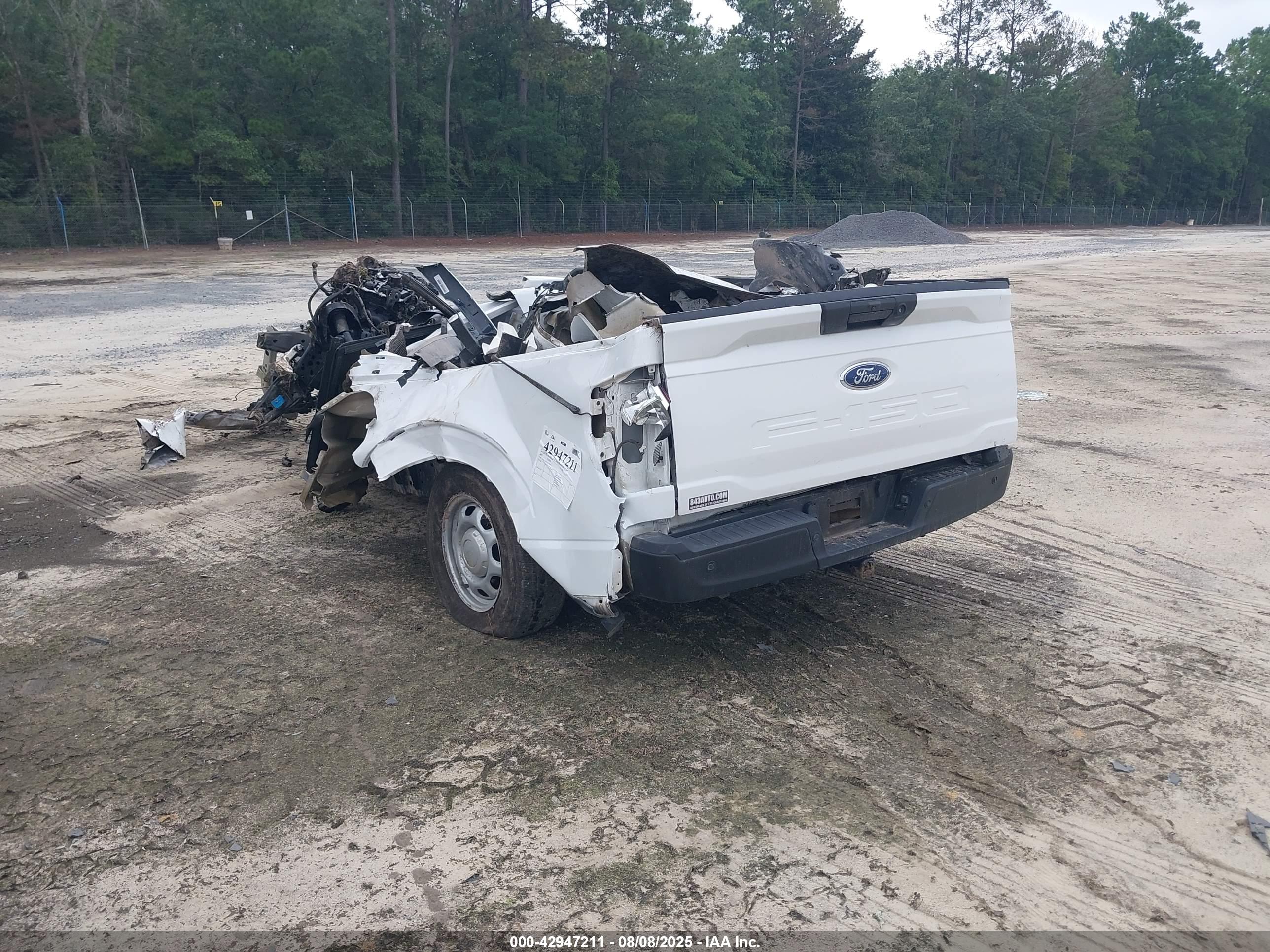 FORD F-150 image 3