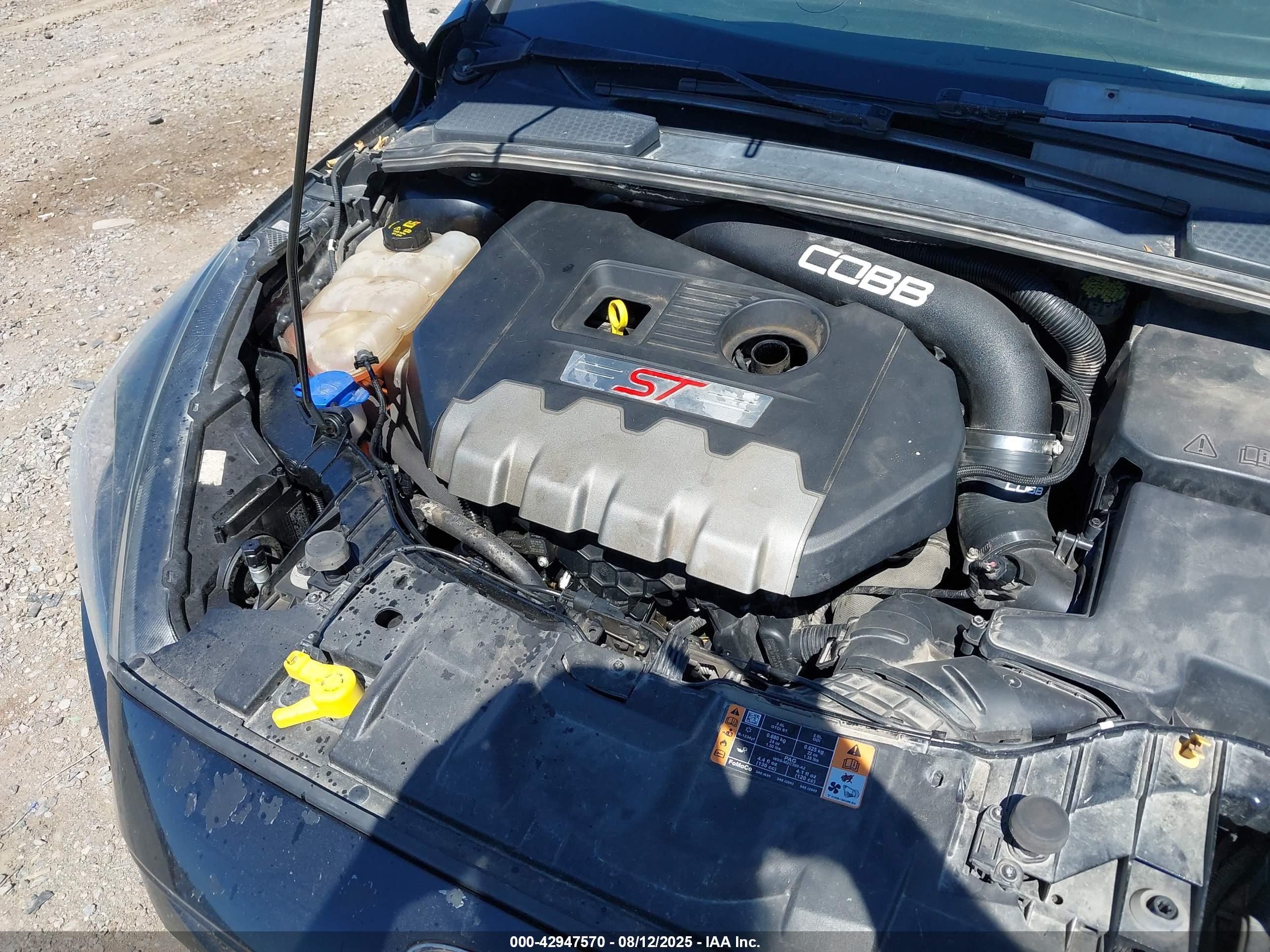 FORD FOCUS image 6